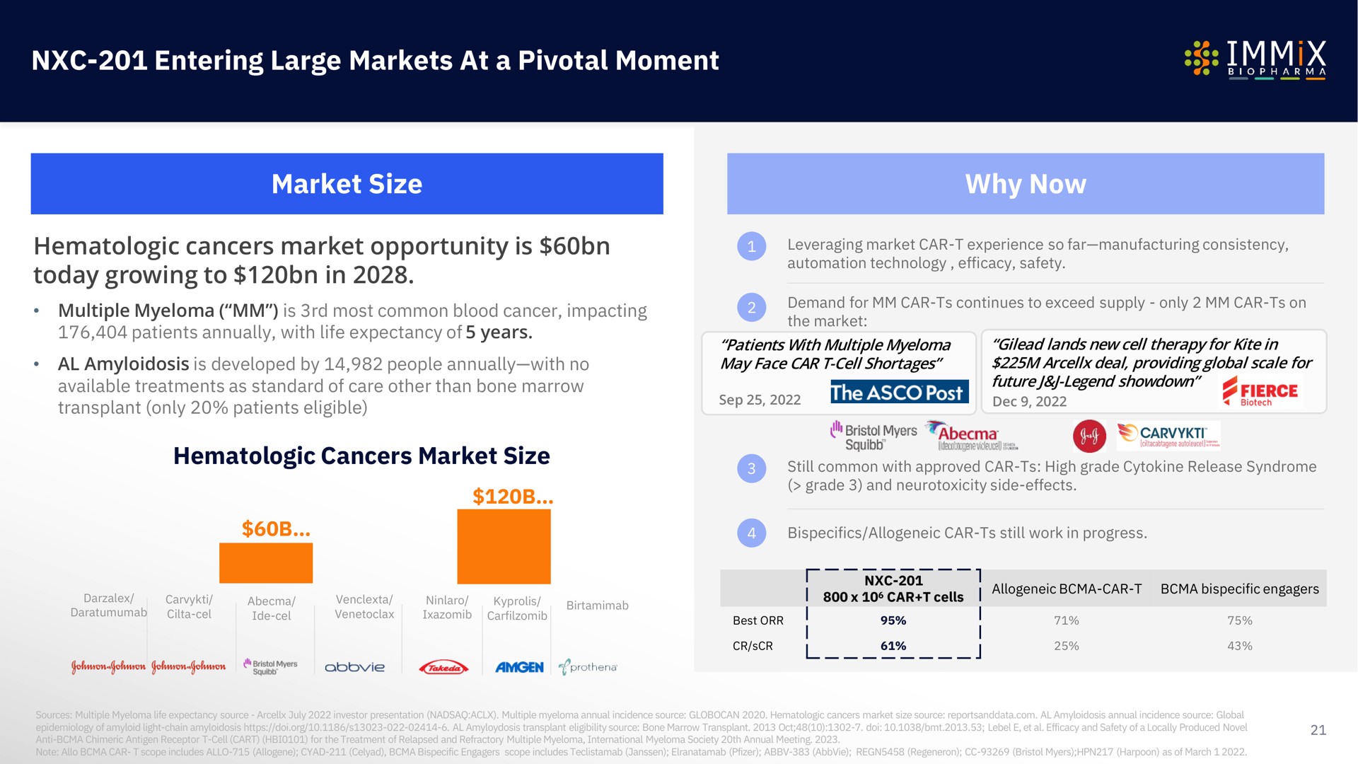 entering large markets at a pivotal moment market size why now | Immix Biopharma
