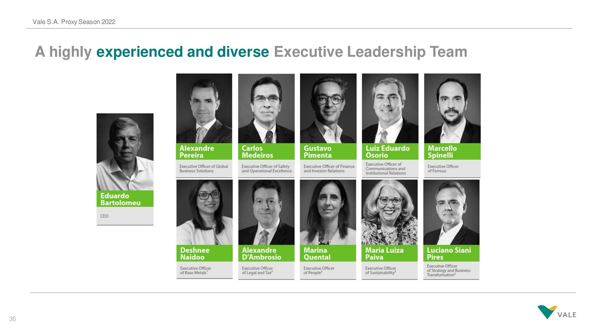 a highly experienced and diverse executive leadership team | Vale