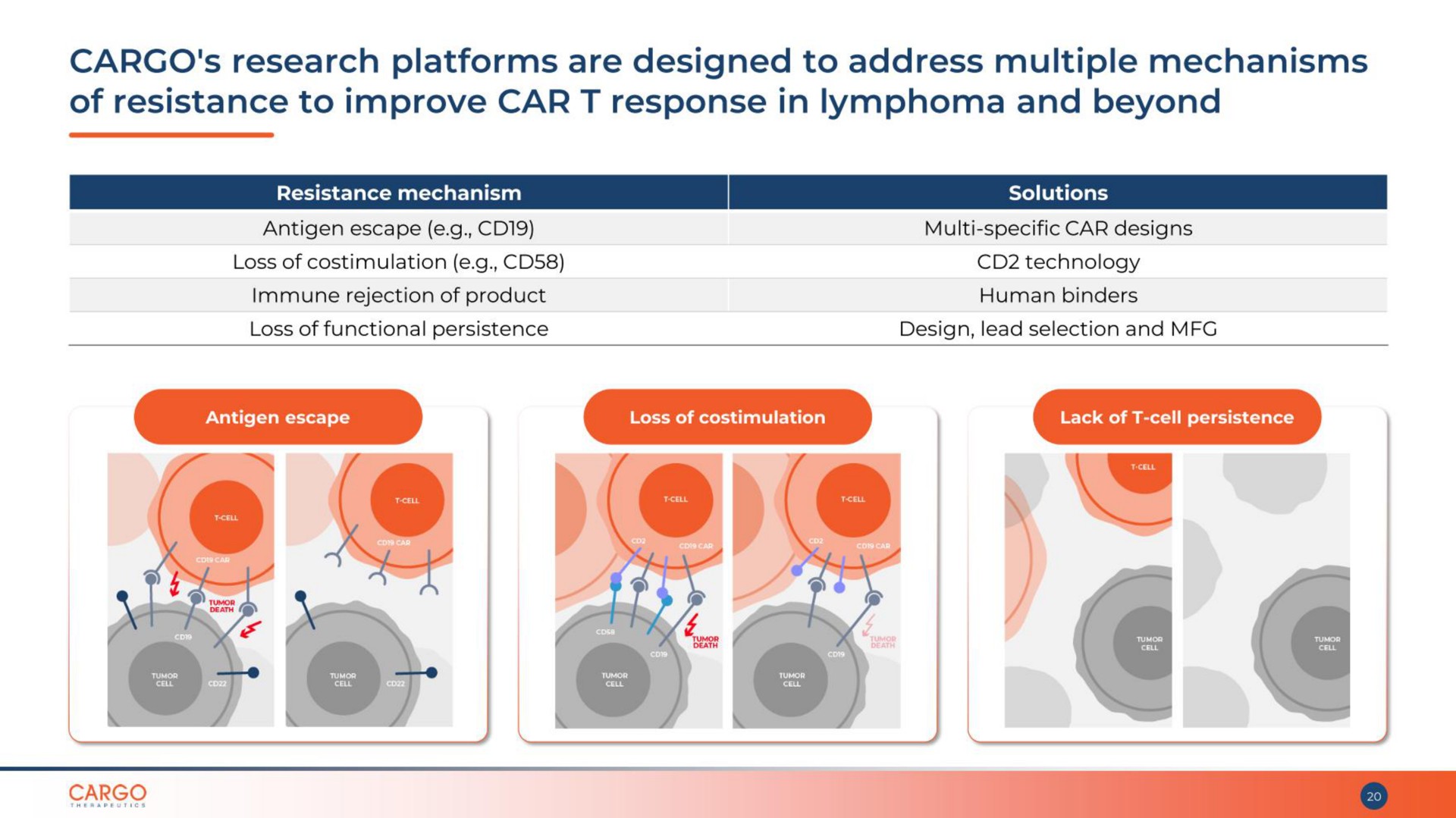 cargo research platforms are designed to address multiple mechanisms of resistance to improve car response in lymphoma and beyond | CARGO Therapeutics