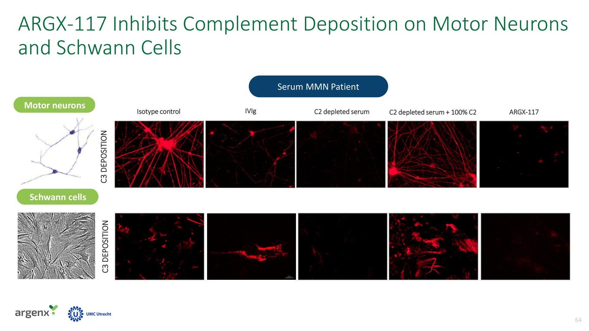 inhibits complement deposition on motor neurons and cells | argenx SE