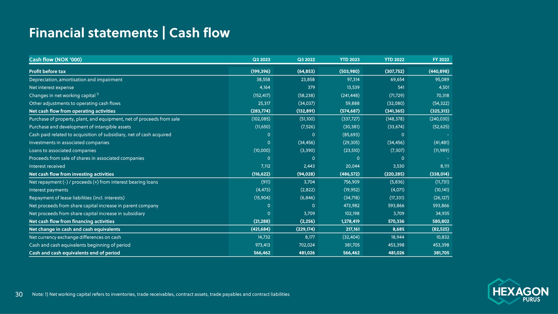 financial statements cash flow hexagon | Hexagon Purus