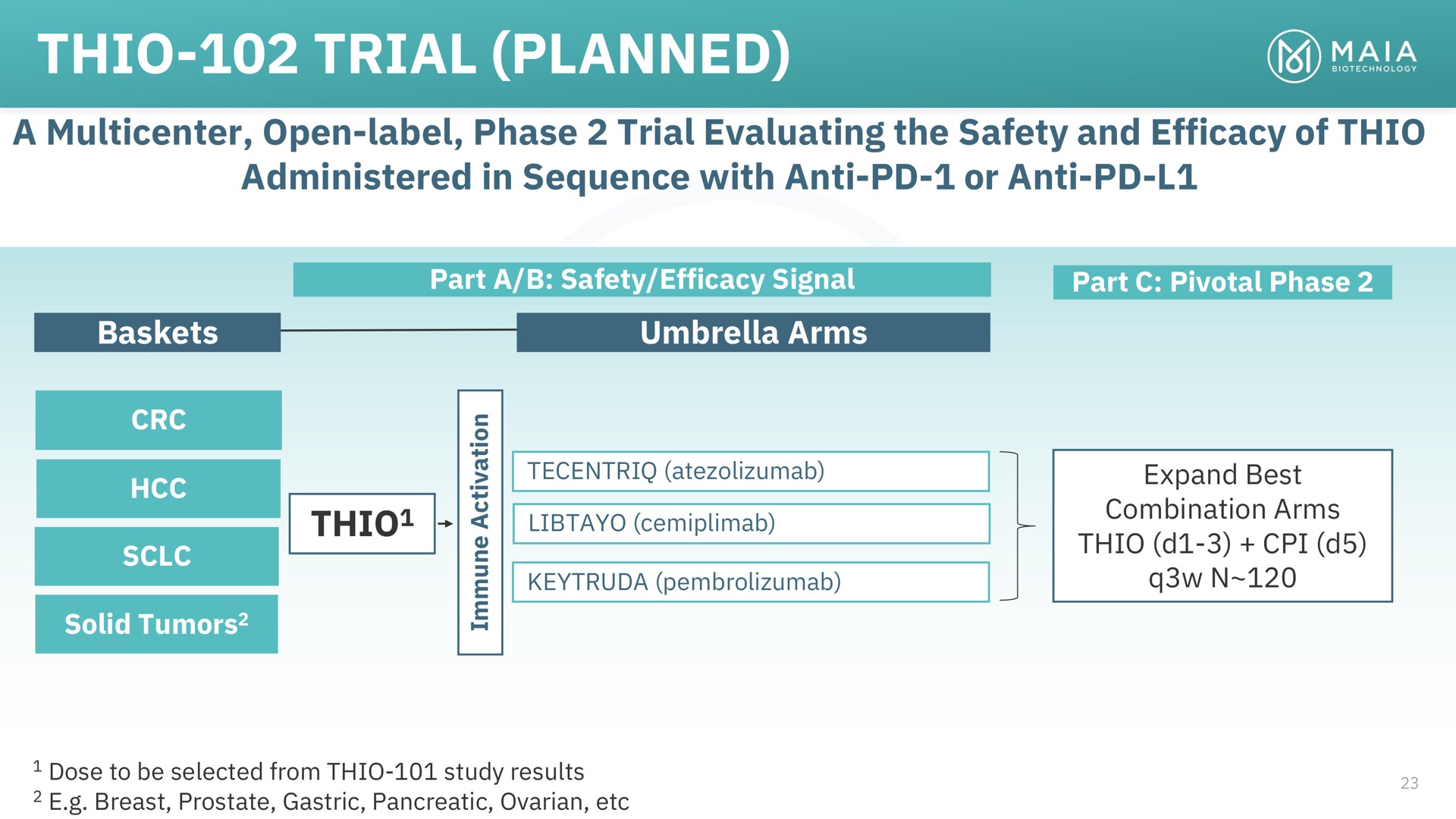 thio trial planned to expand best combination arms | MAIA Biotechnology
