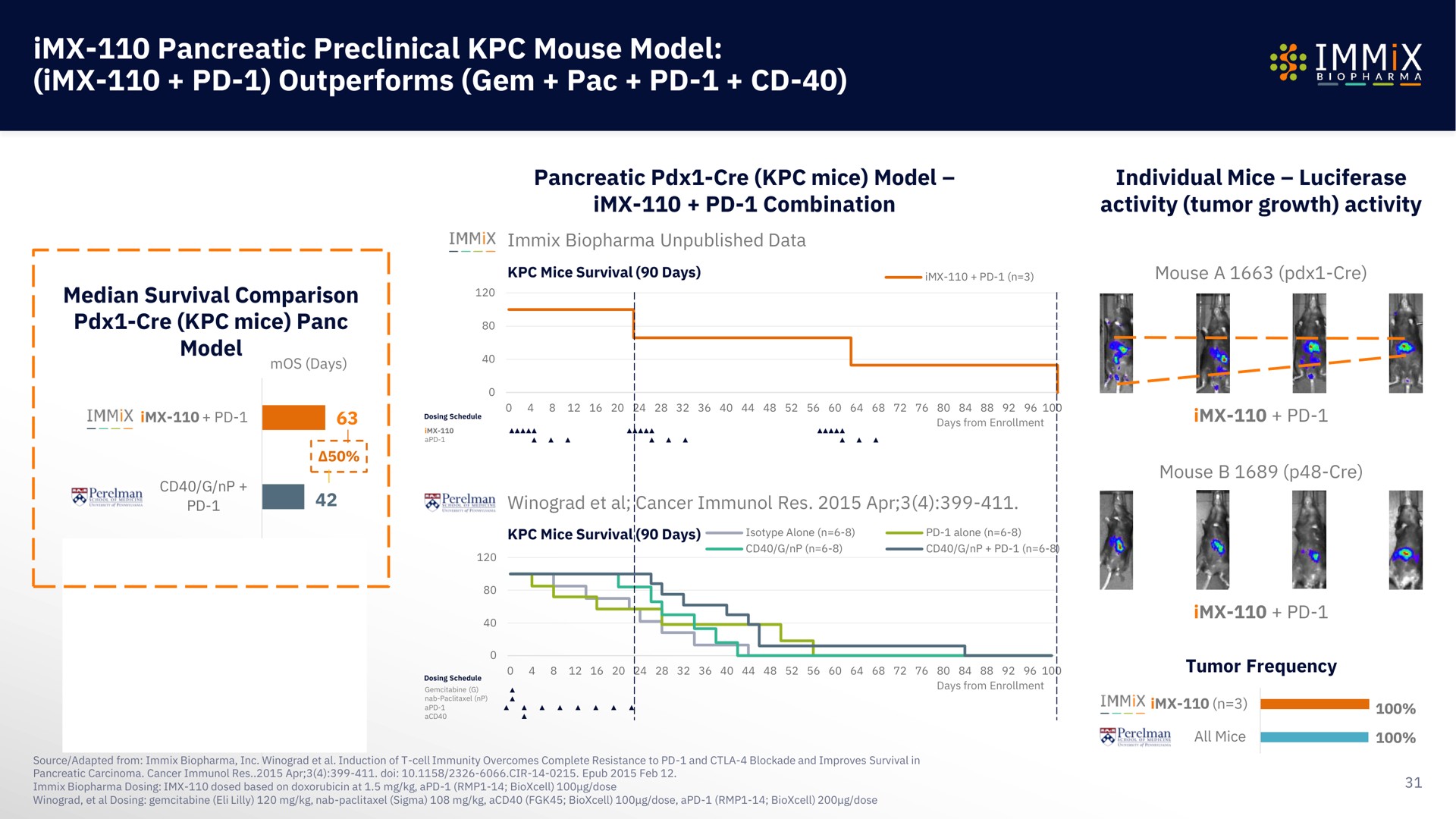 pancreatic preclinical mouse model outperforms gem pac | Immix Biopharma