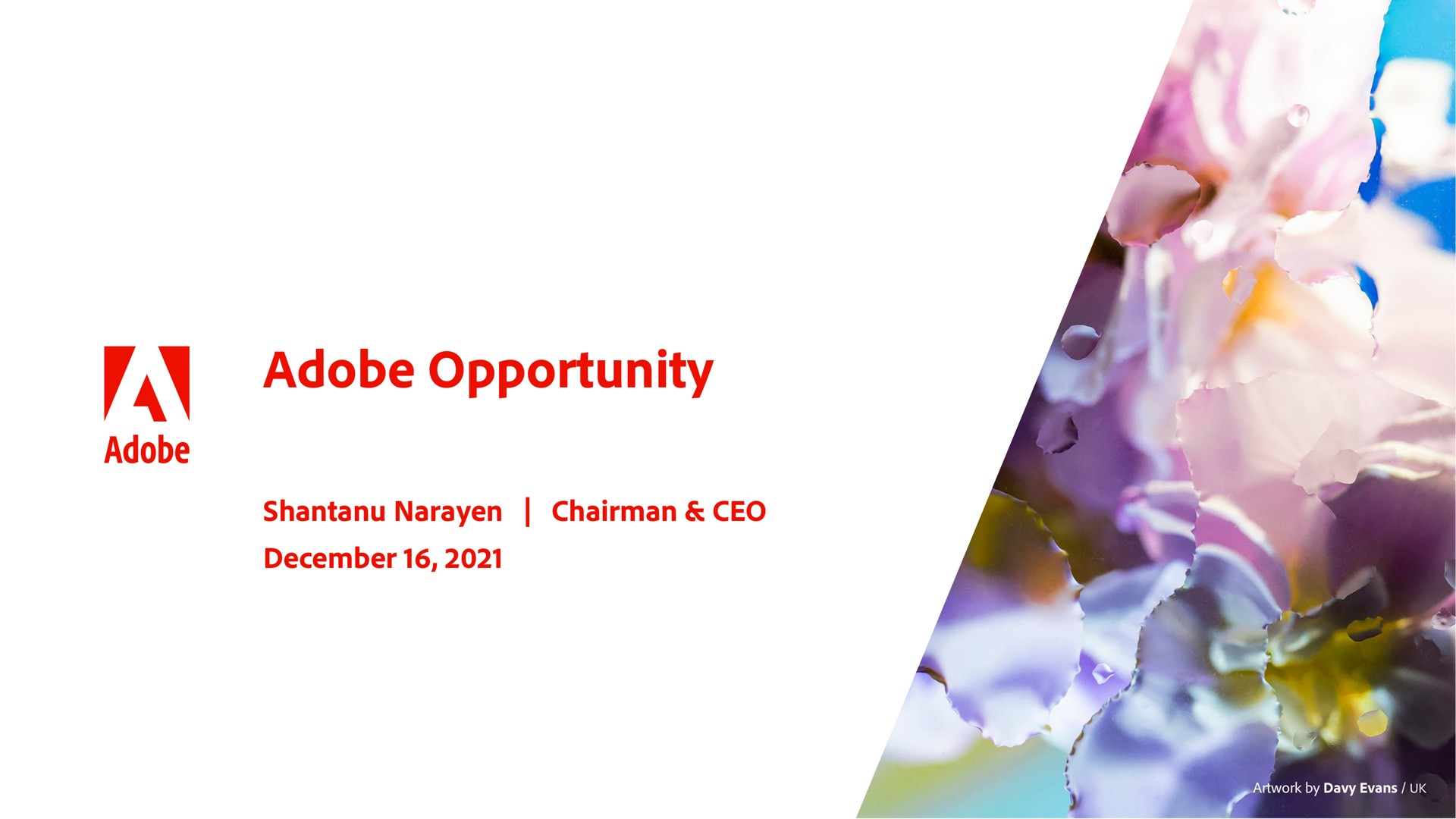 adobe opportunity an | Adobe