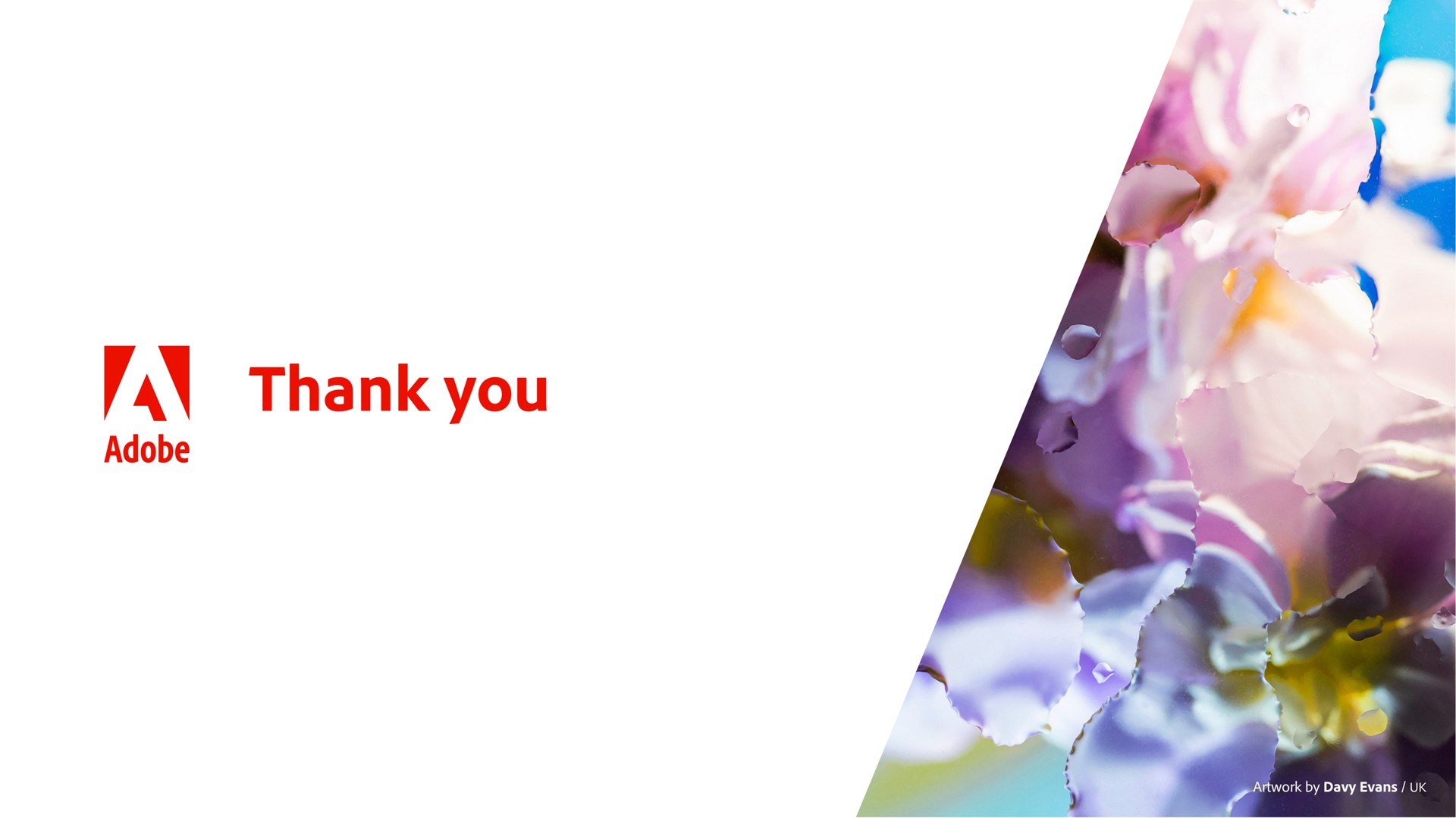 thank you an | Adobe