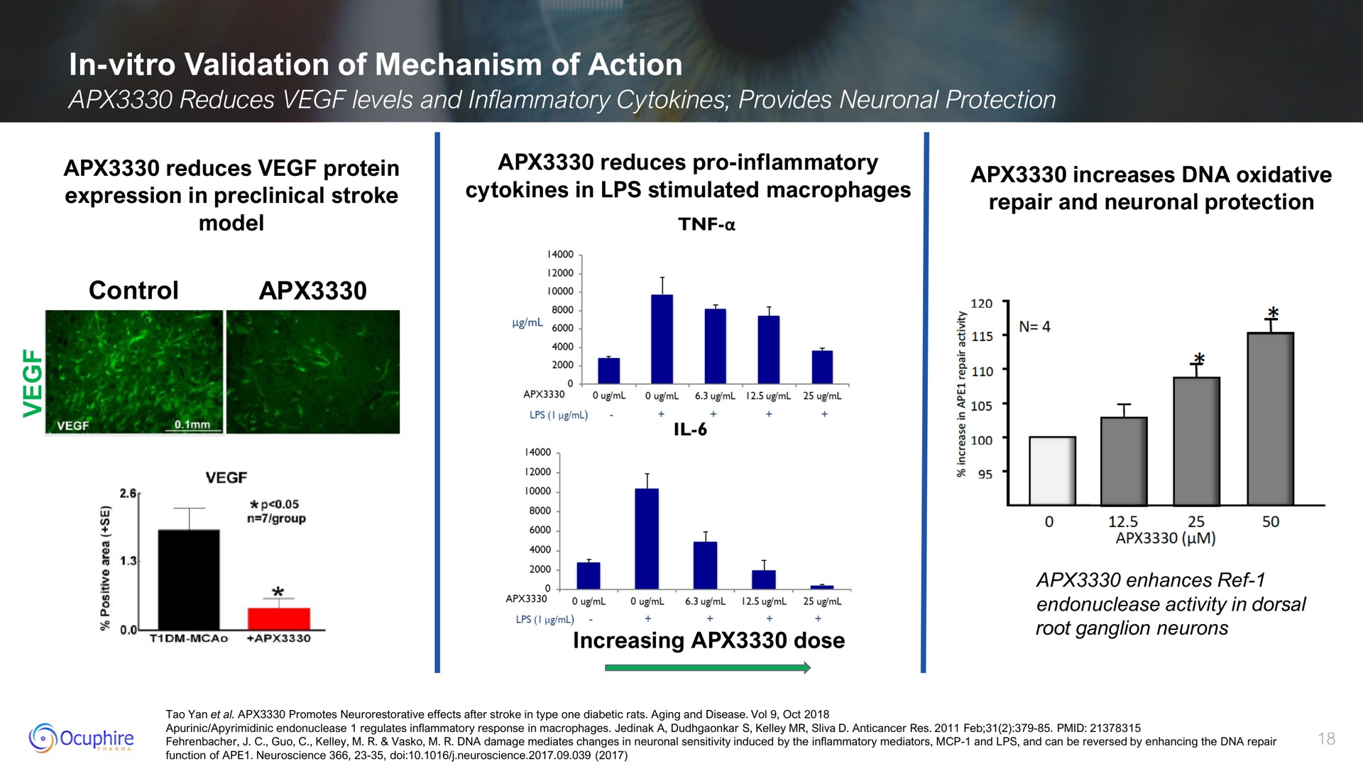 in validation of mechanism of action reduces protein reduces pro inflammatory increases oxidative increasing dose gang | Ocuphire Pharma