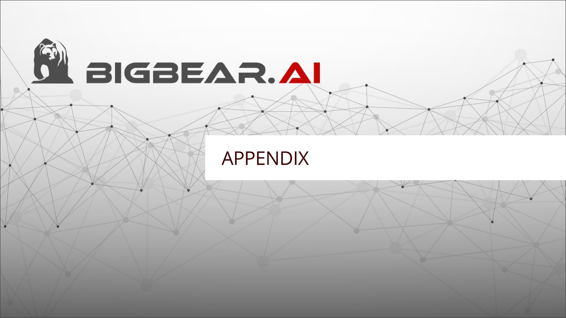 appendix | Bigbear AI