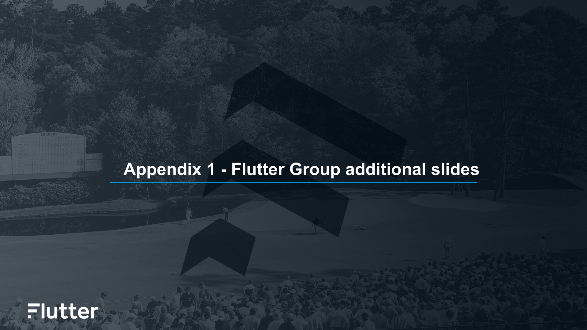 appendix flutter group additional slides | Flutter