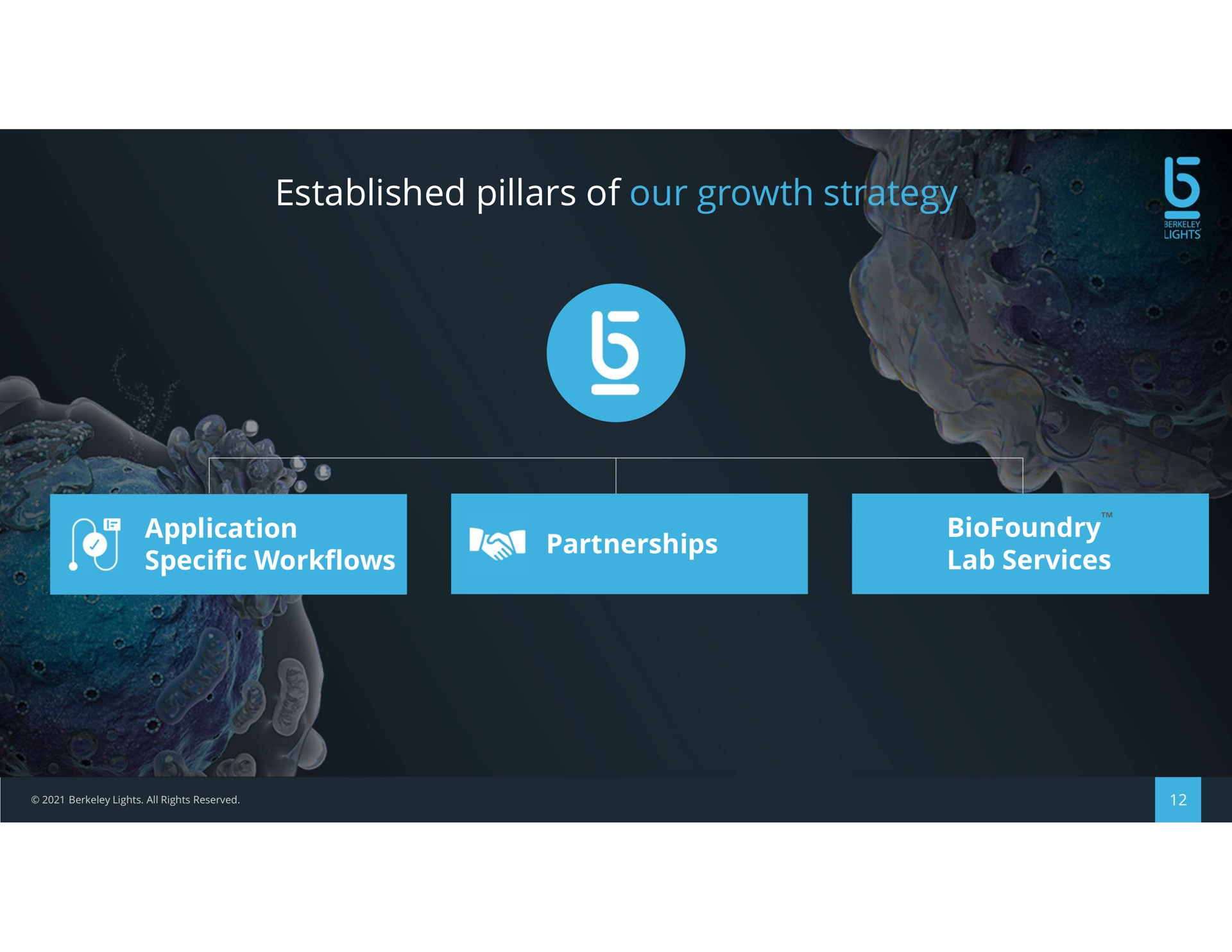 established pillars of our growth strategy | Berkeley Lights