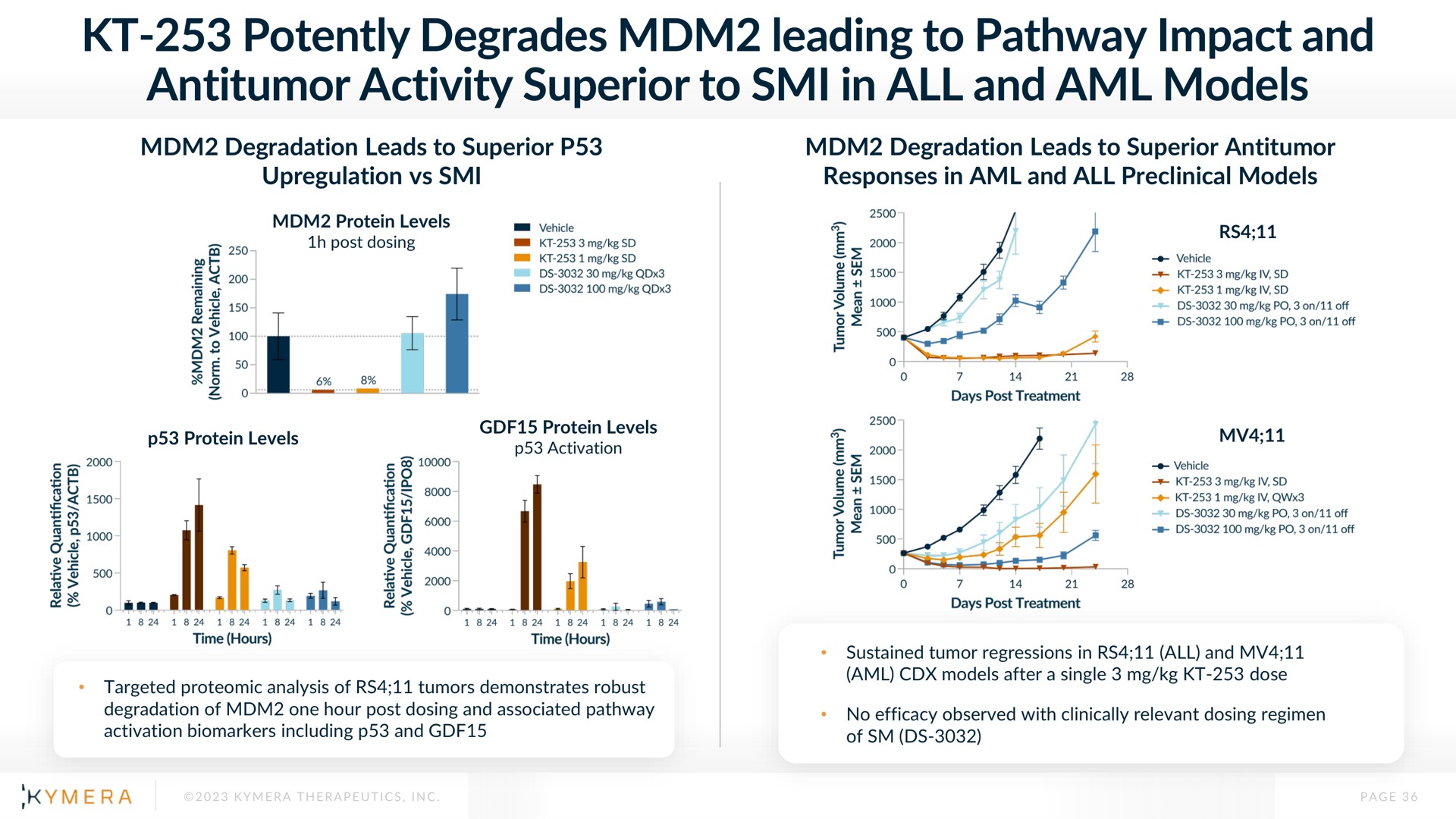 potently degrades leading to pathway impact and activity superior to in all and models | Kymera