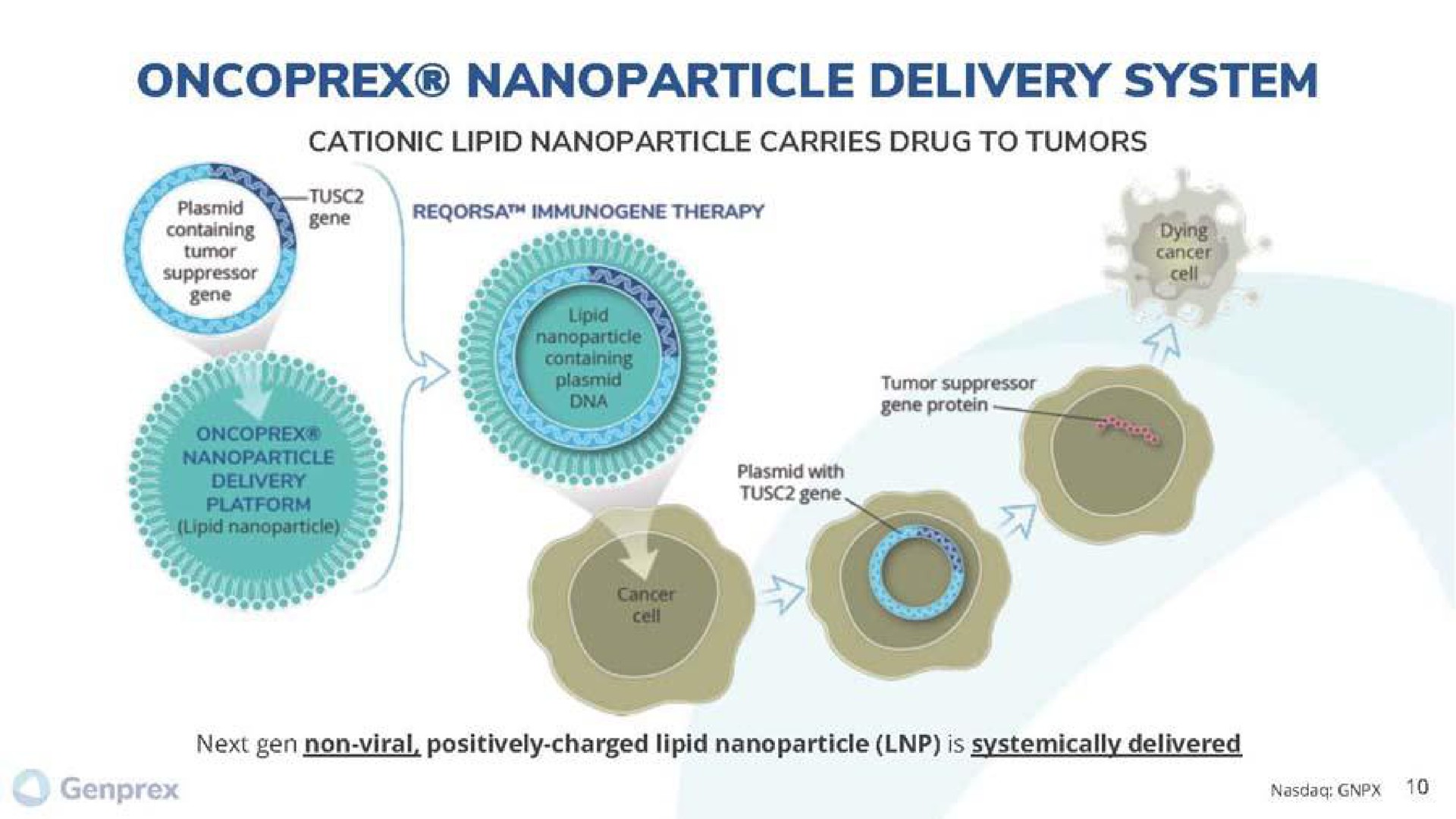 delivery system cationic carries drug to tumors | Genprex