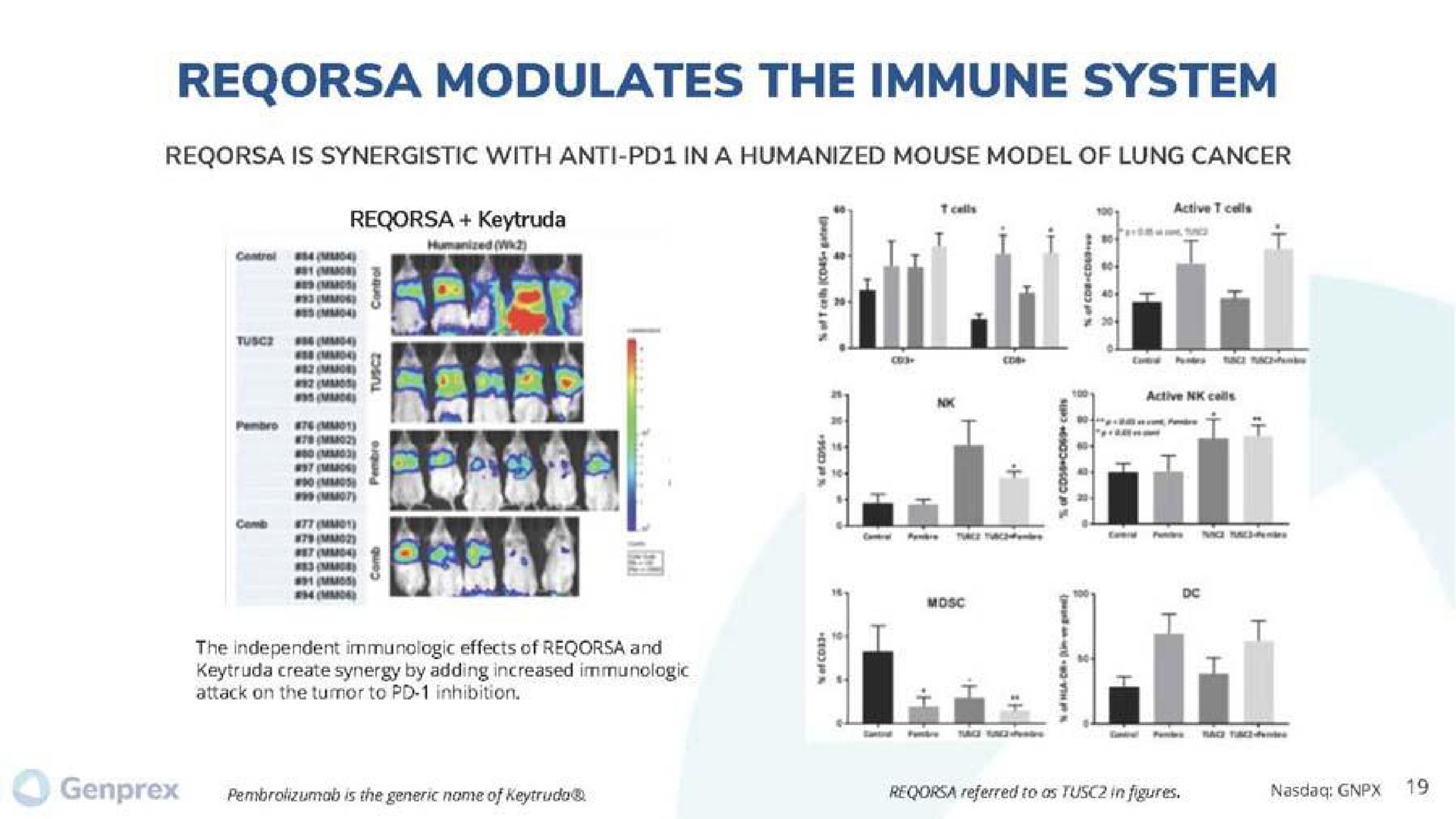 modulates the immune system | Genprex