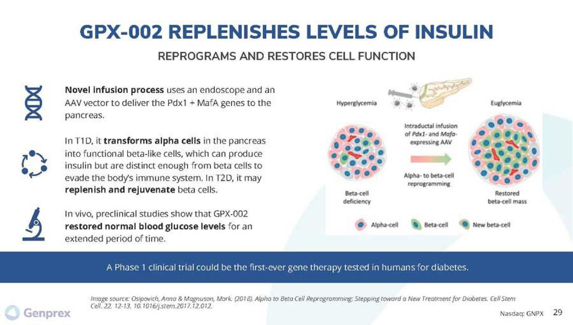 replenishes levels of insulin | Genprex