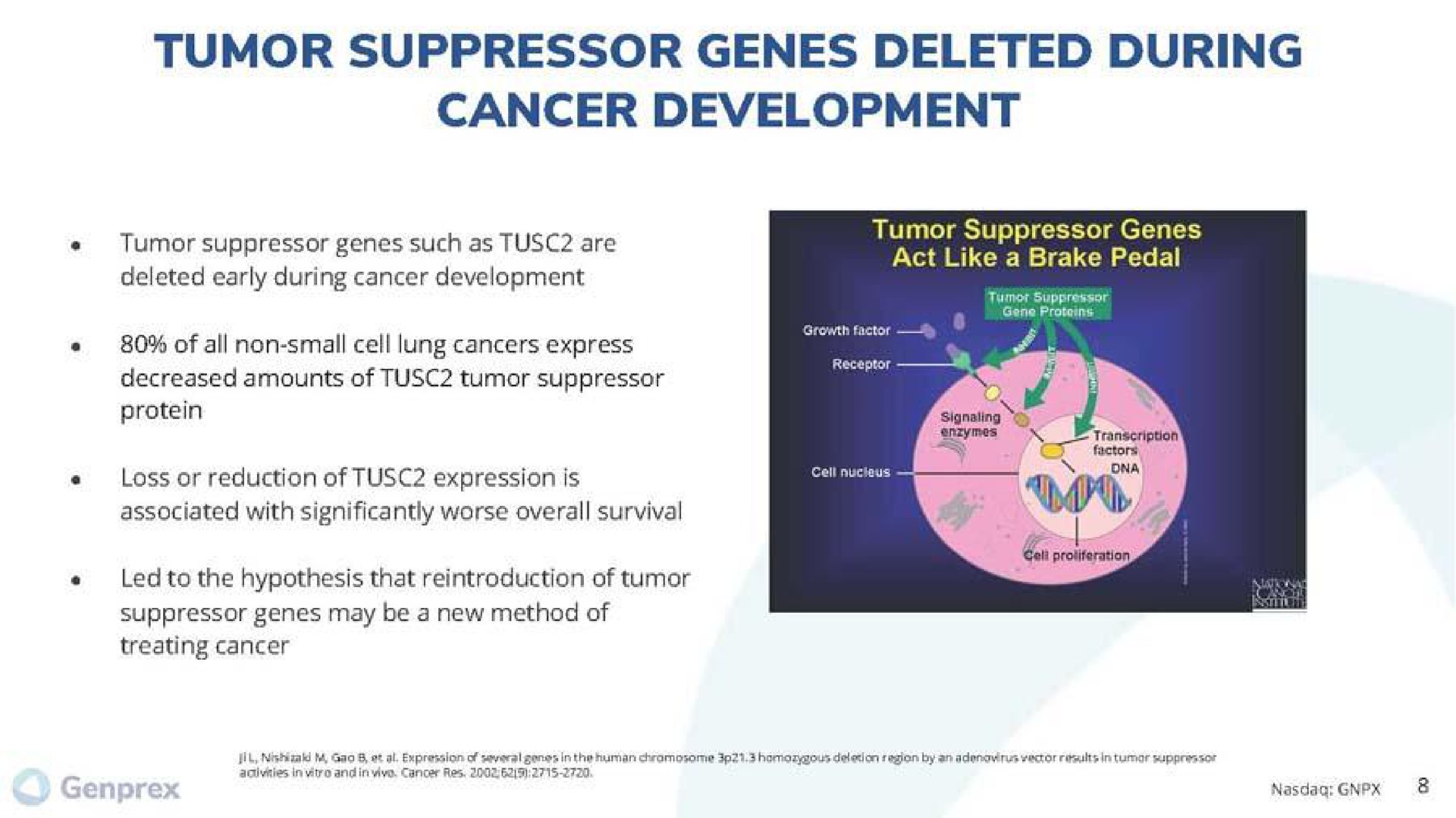 tumor suppressor genes deleted during cancer development | Genprex