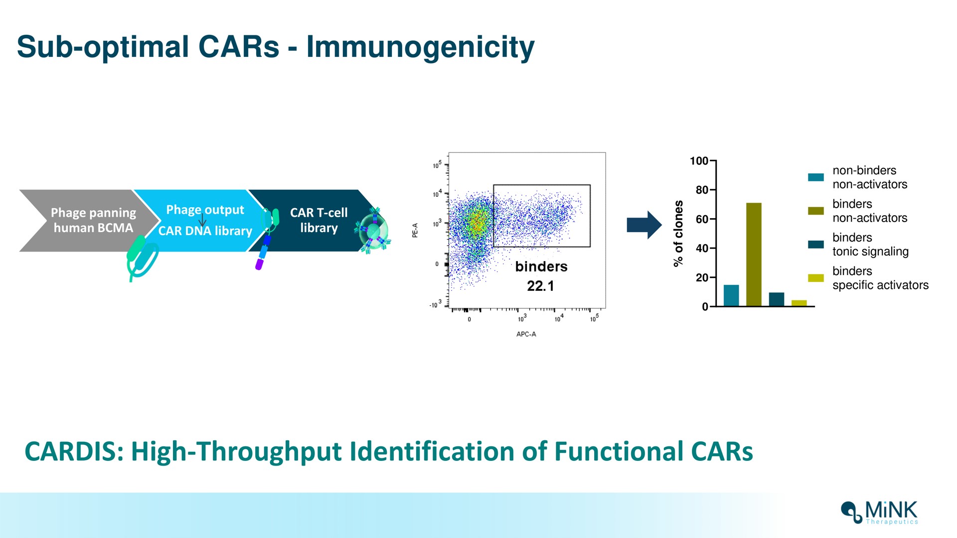 sub optimal cars immunogenicity high throughput identification of functional cars mink | Mink Therapeutics