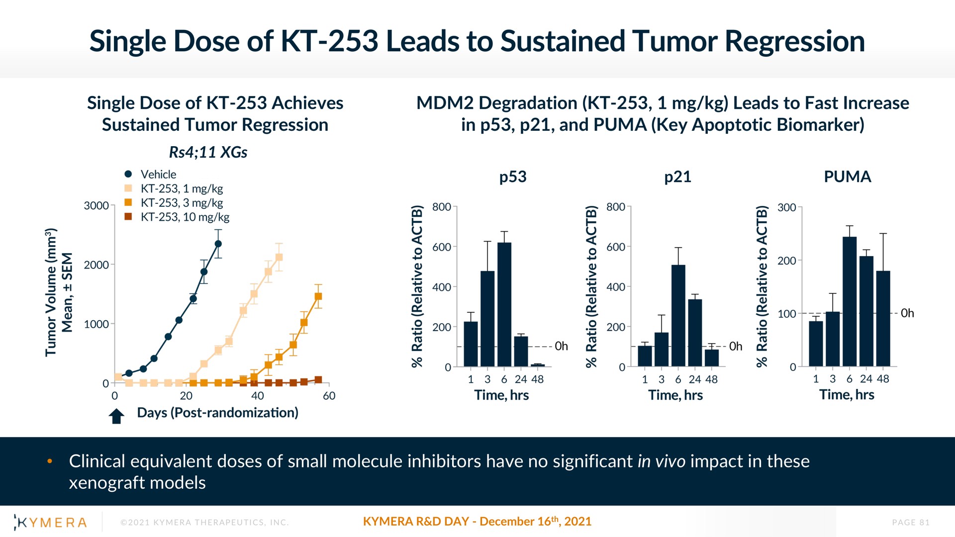 single dose of leads to sustained tumor regression | Kymera