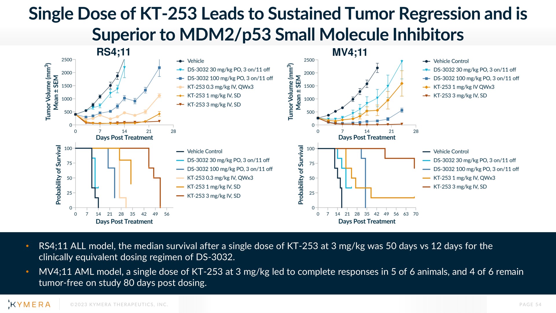 single dose of leads to sustained tumor regression and is superior to small molecule inhibitors | Kymera