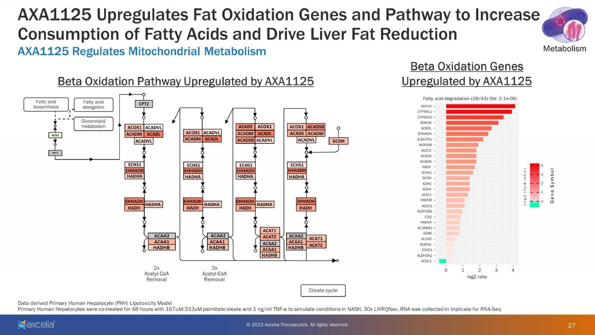 fat oxidation genes and pathway to increase consumption of fatty acids and drive liver fat reduction a beta oxidation genes | Axcella Health
