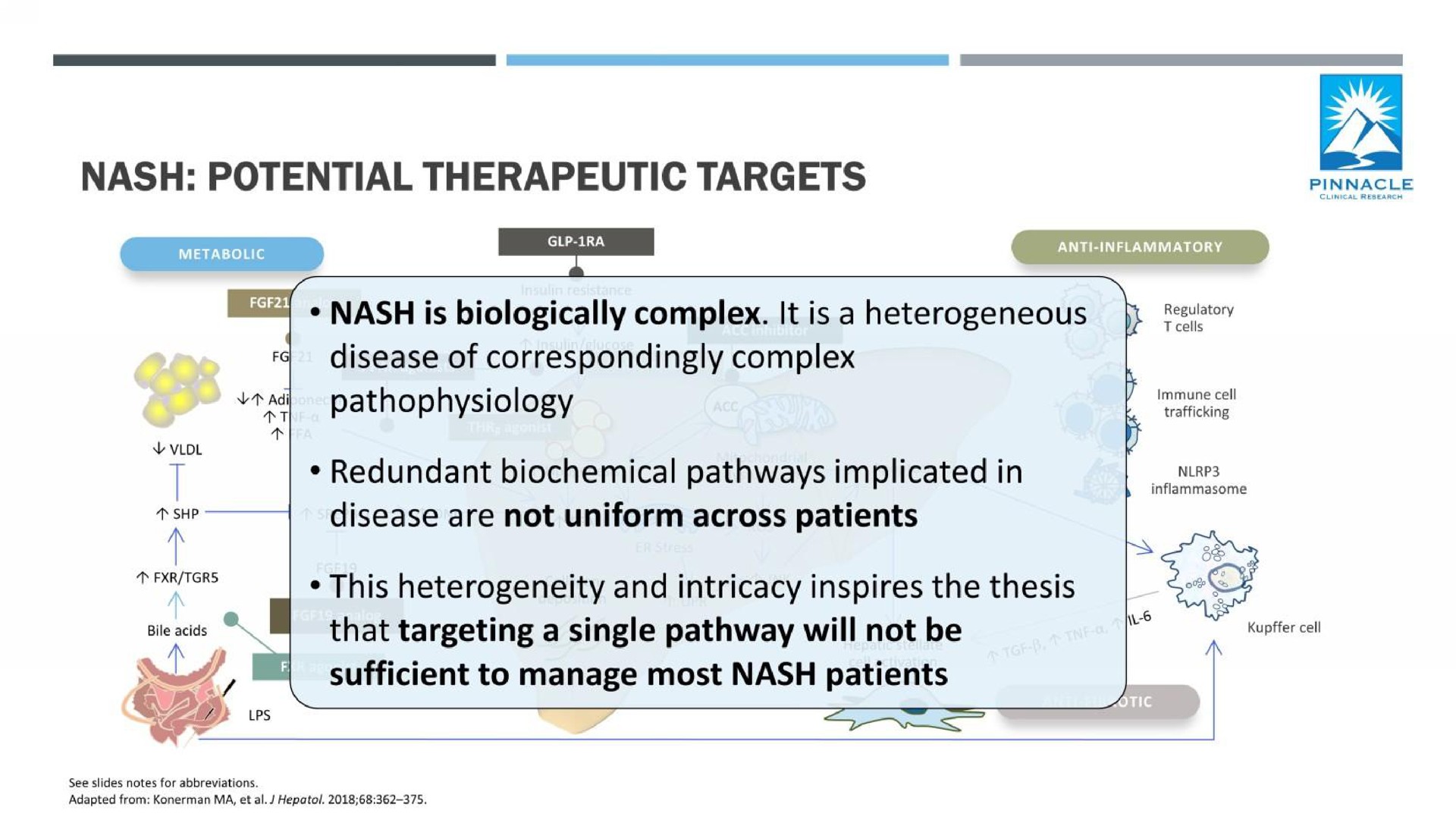 nash potential therapeutic targets pinnacle a | Axcella Health