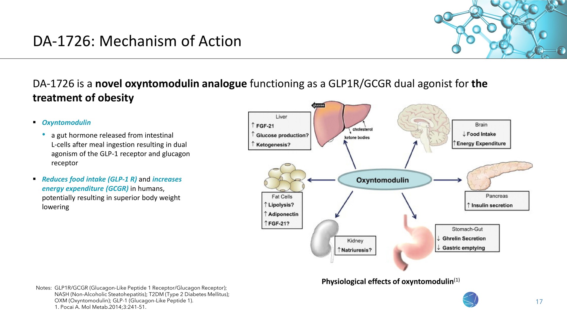 mechanism of action | NeuroBo Pharmaceuticals