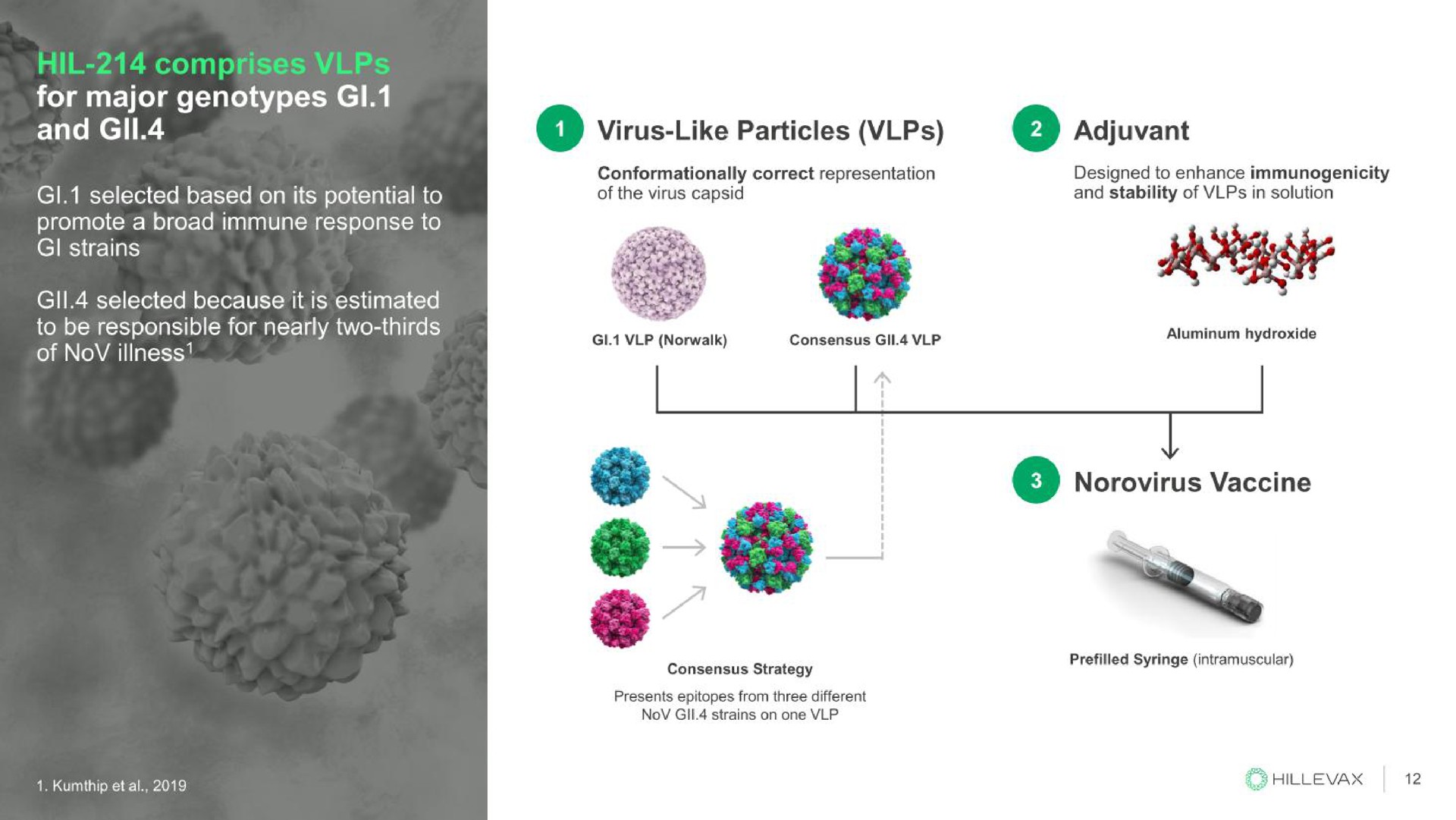 a genotypes and virus like particles adjuvant | Hillevax