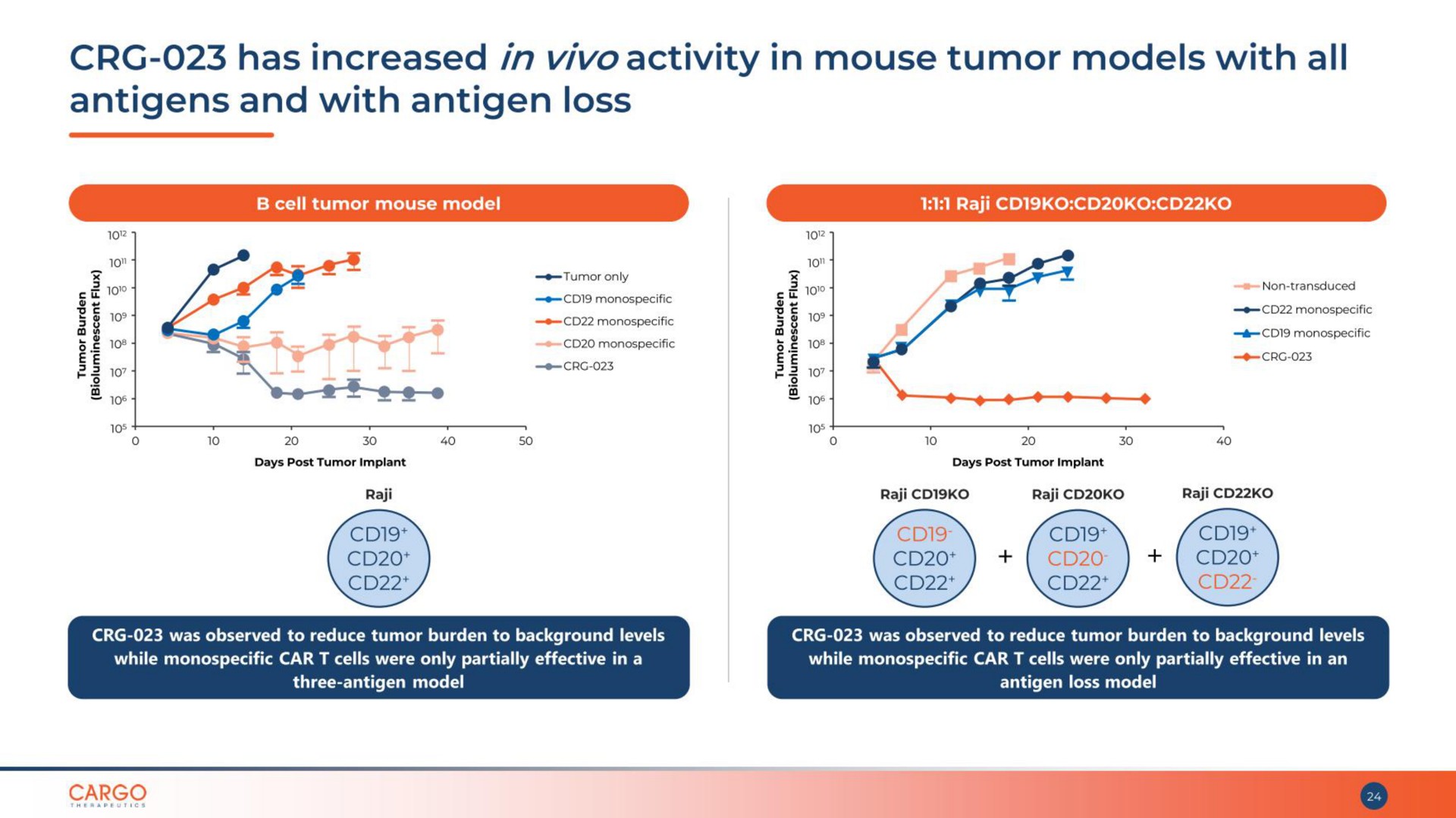 has increased activity in mouse tumor models with all antigens and with antigen loss | CARGO Therapeutics