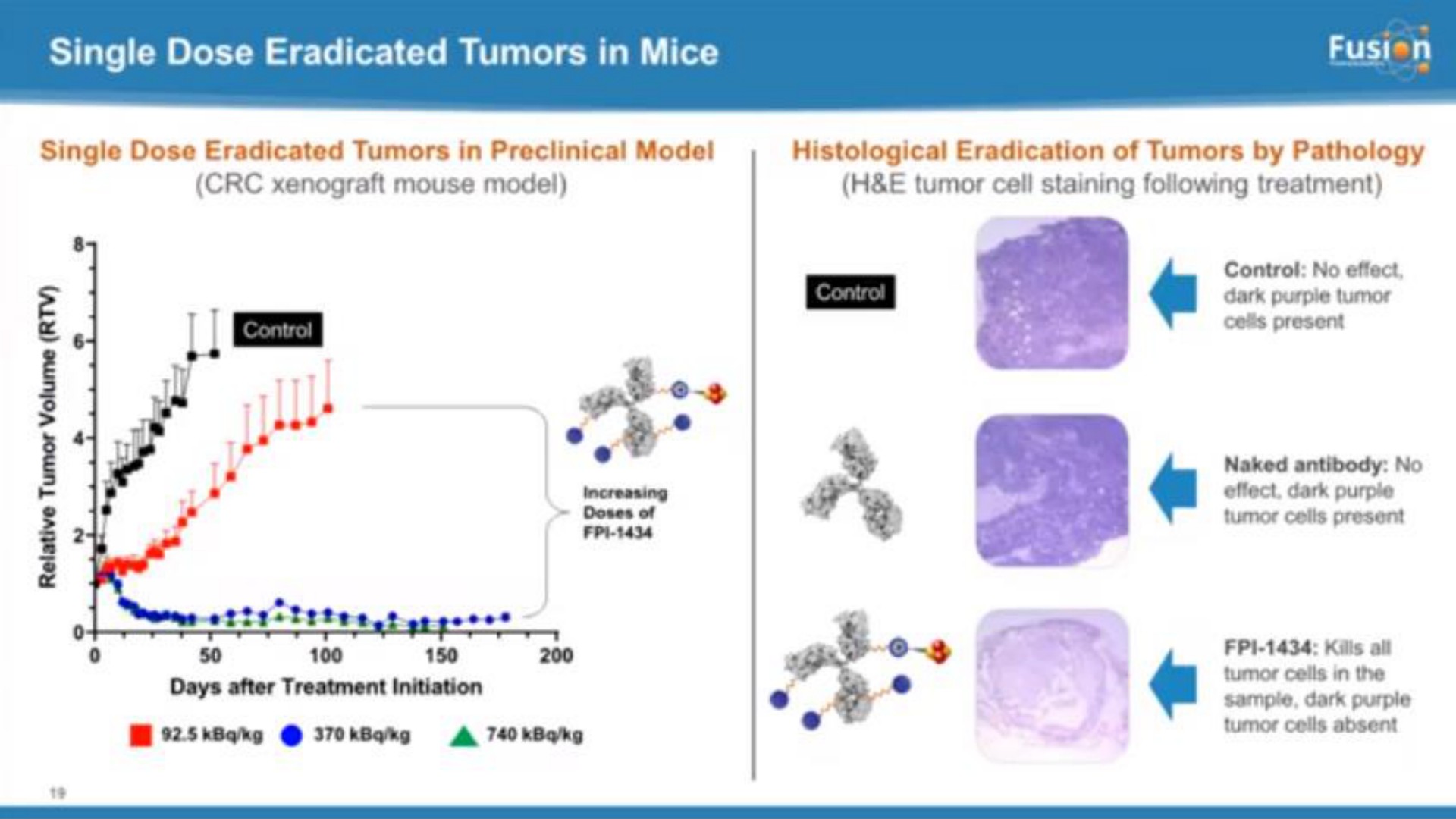 single dose eradicated tumors in mice | Fusion Pharmaceuticals