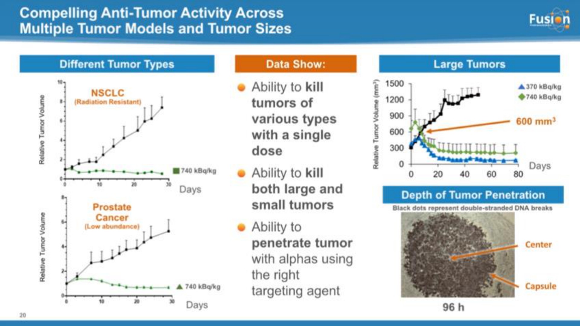 compelling anti tumor activity across multiple tumor models and tumor sizes i with a single dose with alphas using the right | Fusion Pharmaceuticals