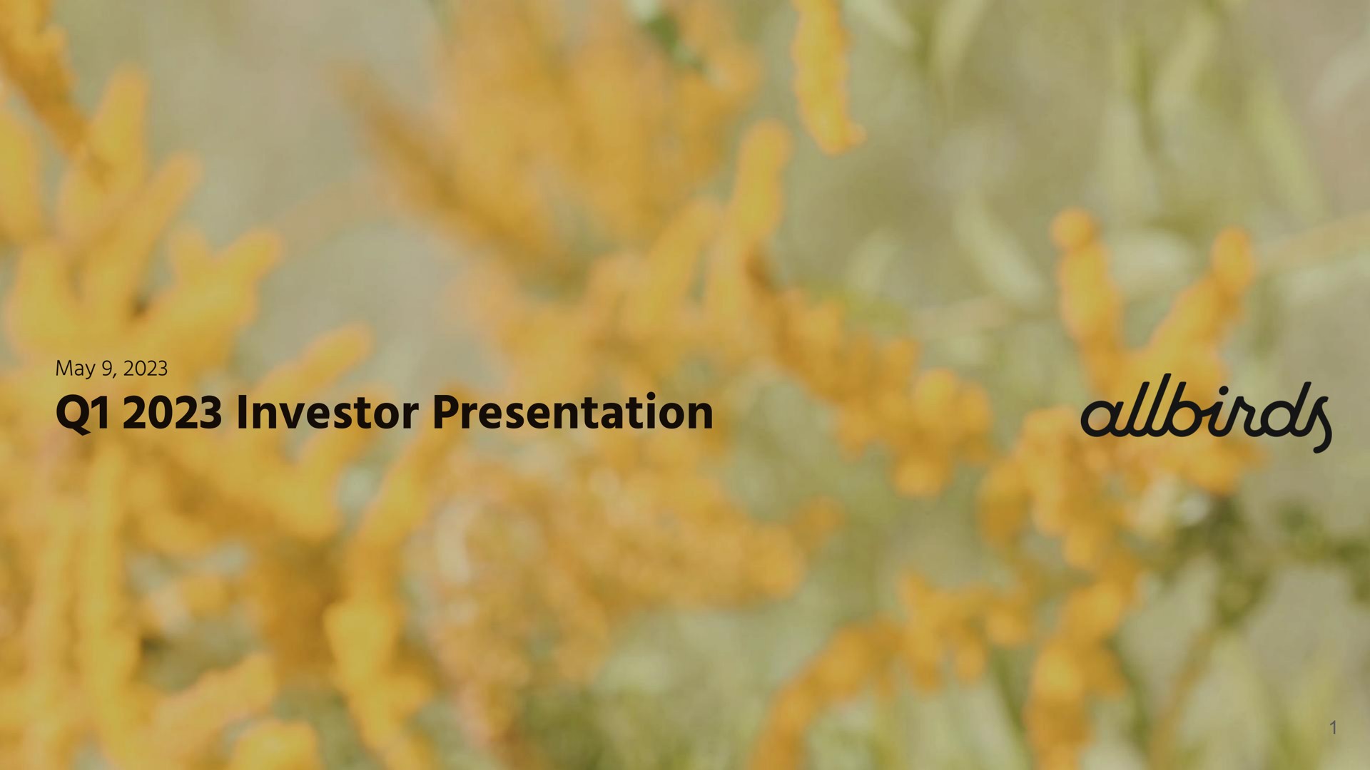 investor presentation | Allbirds