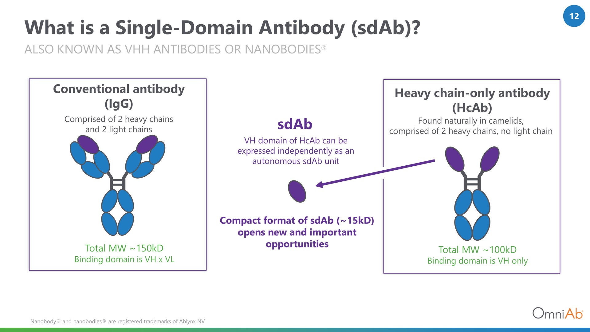 what is a single domain antibody i single domain in total opportunities total | OmniAb