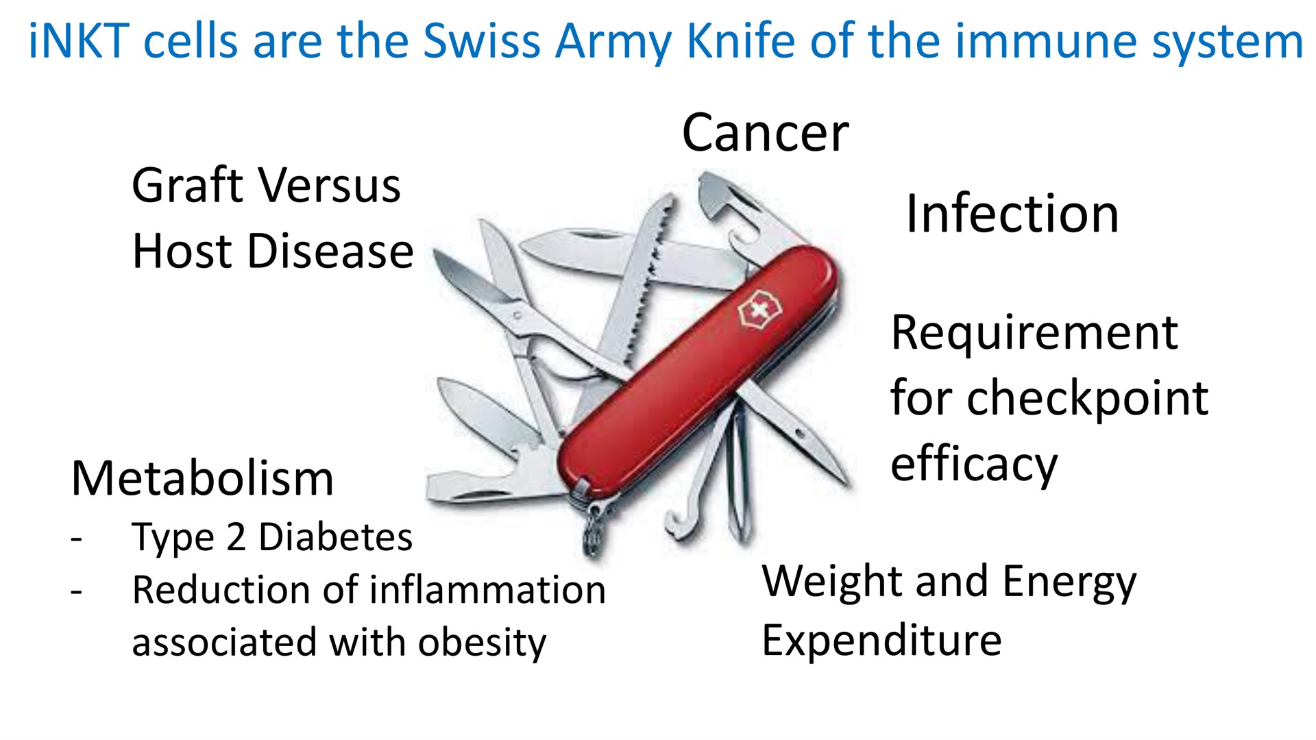 cells are the swiss army knife of the immune system graft versus host disease metabolism type diabetes reduction of inflammation associated with obesity cancer infection requirement for efficacy weight and energy expenditure a | Mink Therapeutics