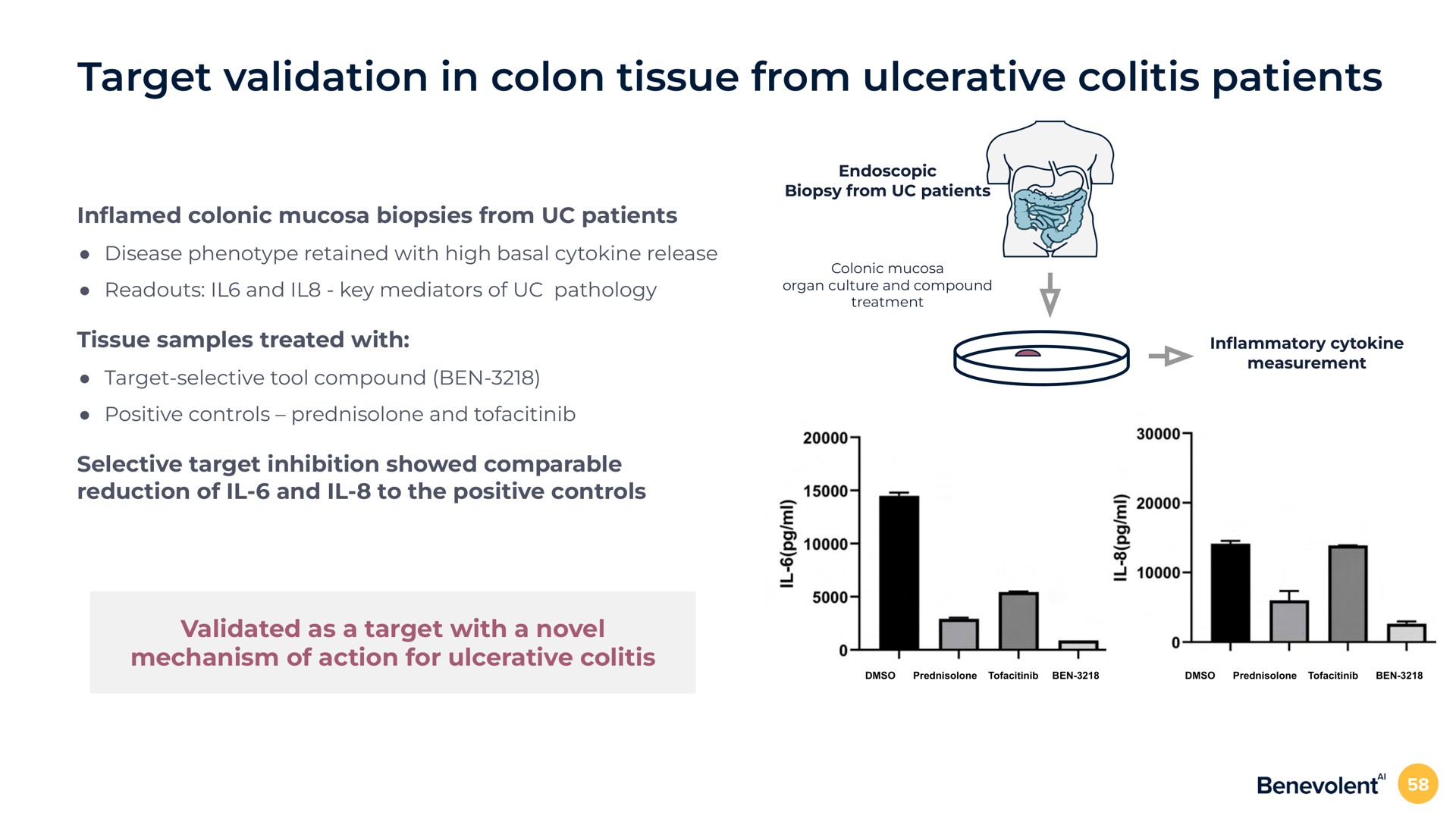 target validation in colon tissue from ulcerative colitis patients in colonic mucosa biopsies from patients disease phenotype retained with high basal release and key mediators of pathology tissue samples treated with target selective tool compound ben positive controls and selective target inhibition showed comparable reduction of and to the positive controls validated as a target with a novel mechanism of action for ulcerative colitis | BenevolentAI