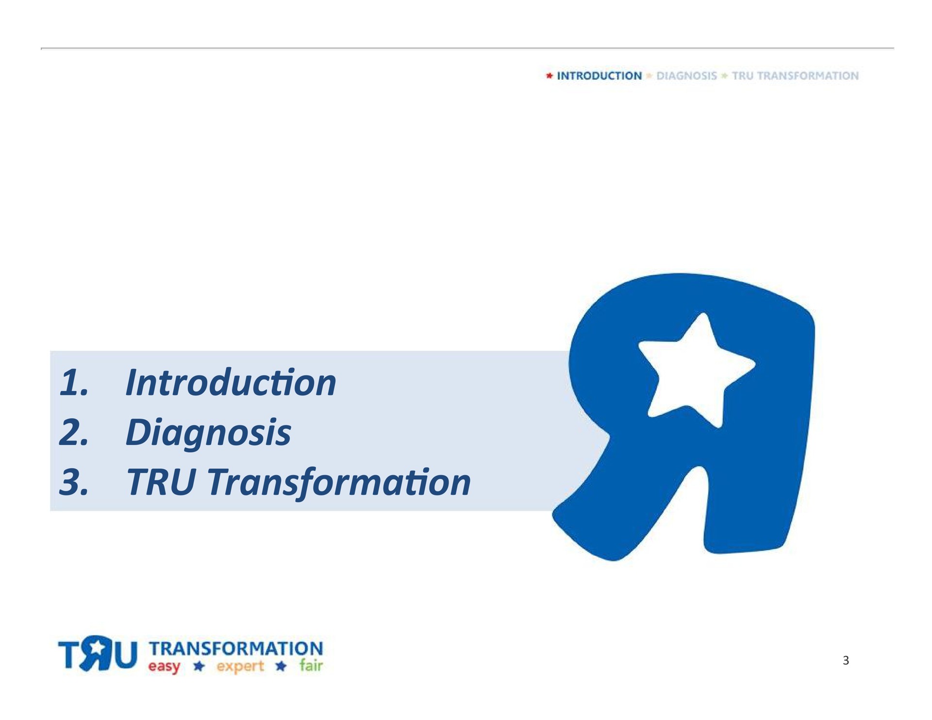 on diagnosis on introduction transformation | Toys R Us
