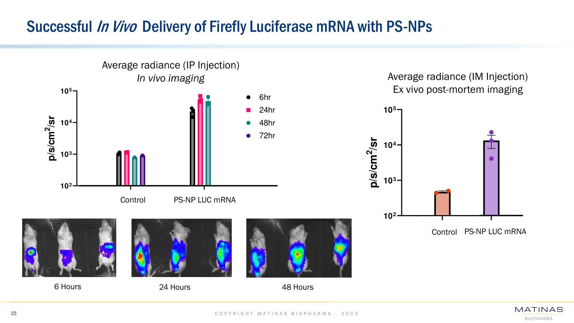 successful in delivery of firefly luciferase with | Matinas BioPharma