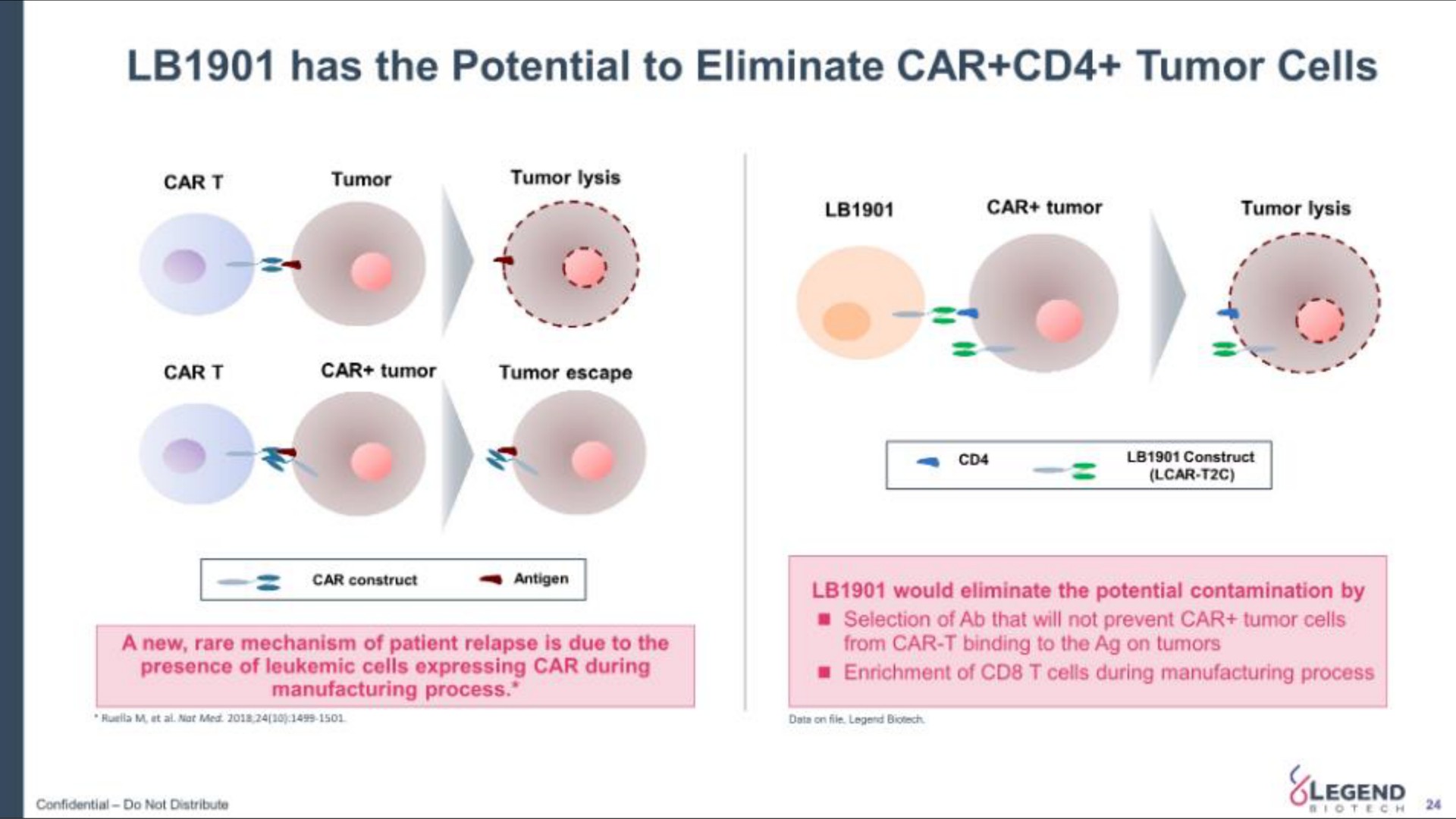 has the potential to eliminate car tumor cells i | Legend Biotech