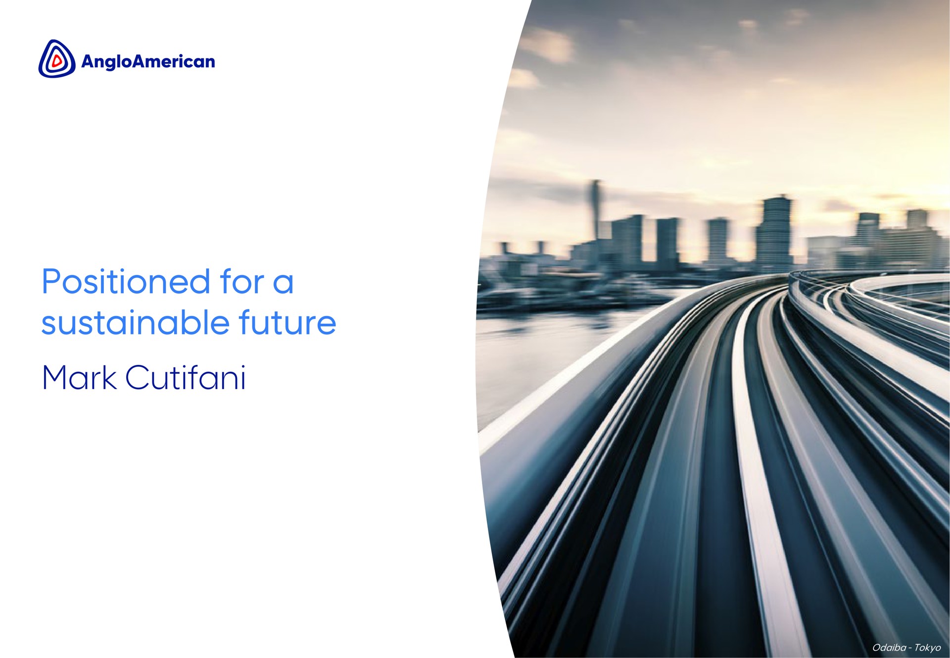 positioned for a sustainable future mark | AngloAmerican