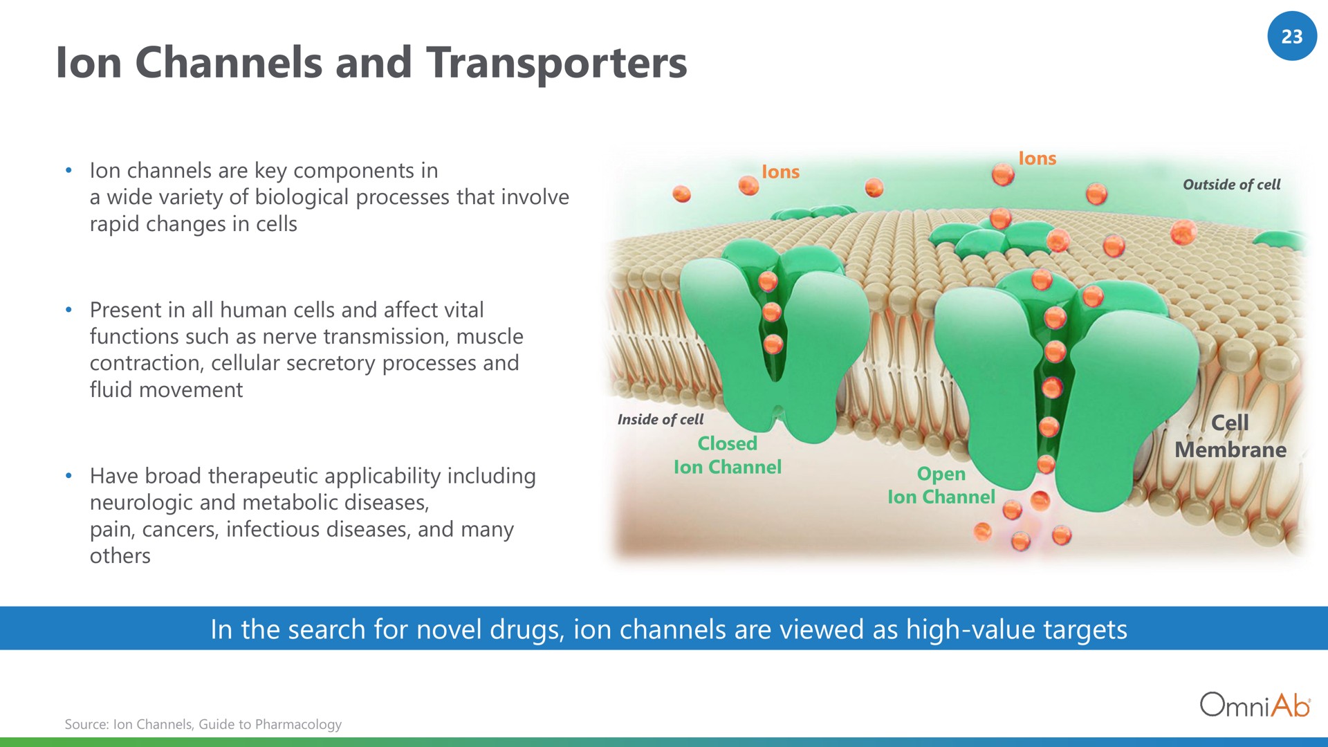 ion channels and transporters | OmniAb
