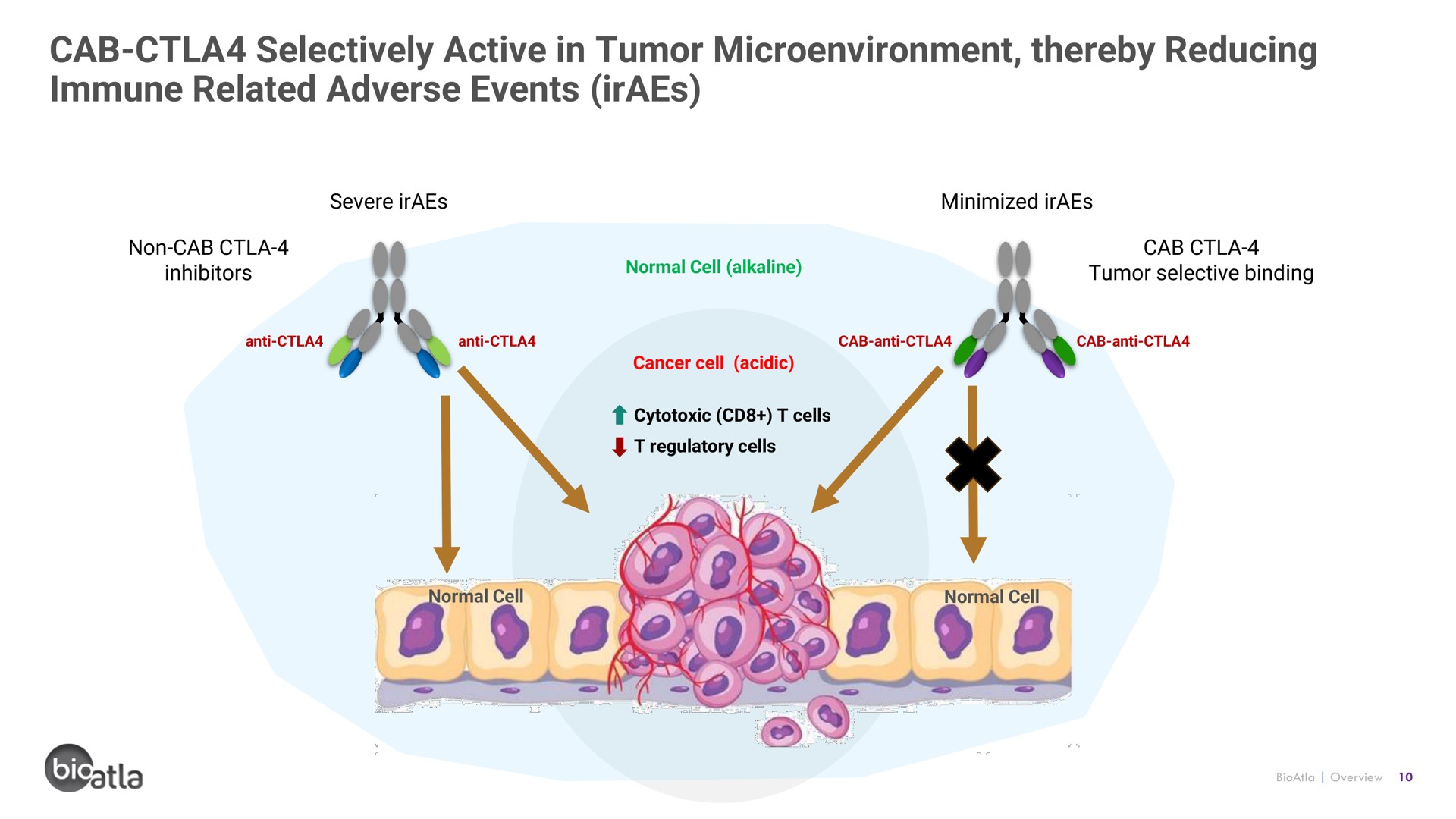 cab selectively active in tumor thereby reducing immune related adverse events | BioAtla