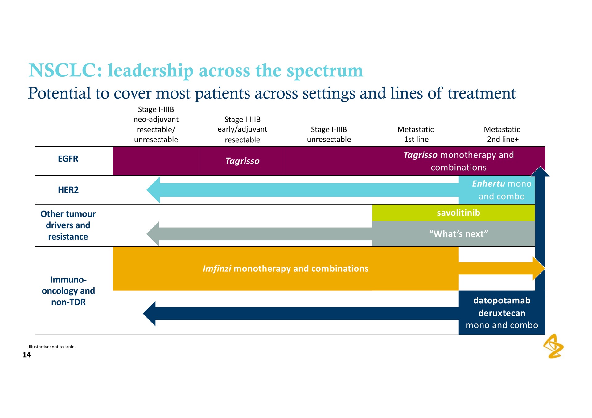 leadership across the spectrum potential to cover most patients settings and lines of treatment | AstraZeneca