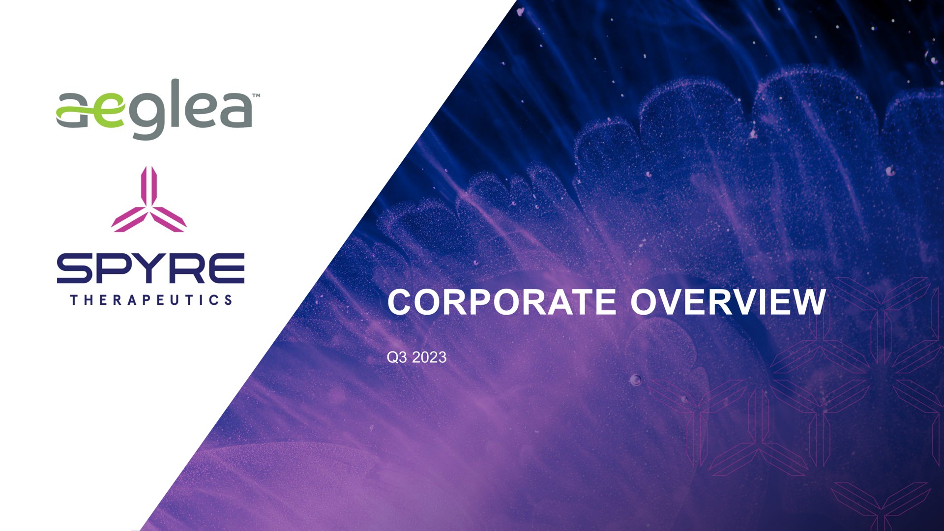 corporate overview ans | Aeglea BioTherapeutics