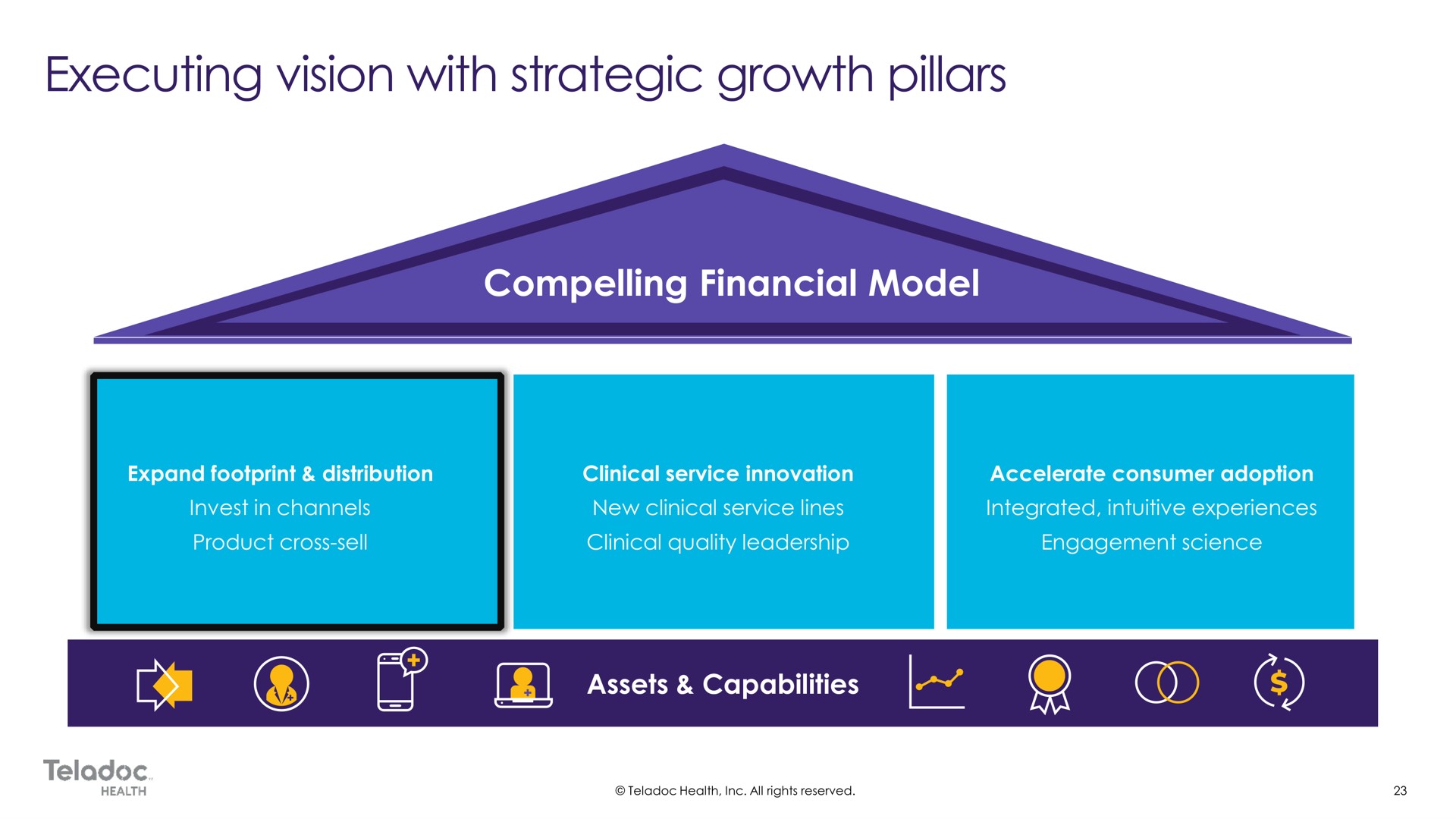compelling financial model assets capabilities executing vision with strategic growth pillars | Teladoc