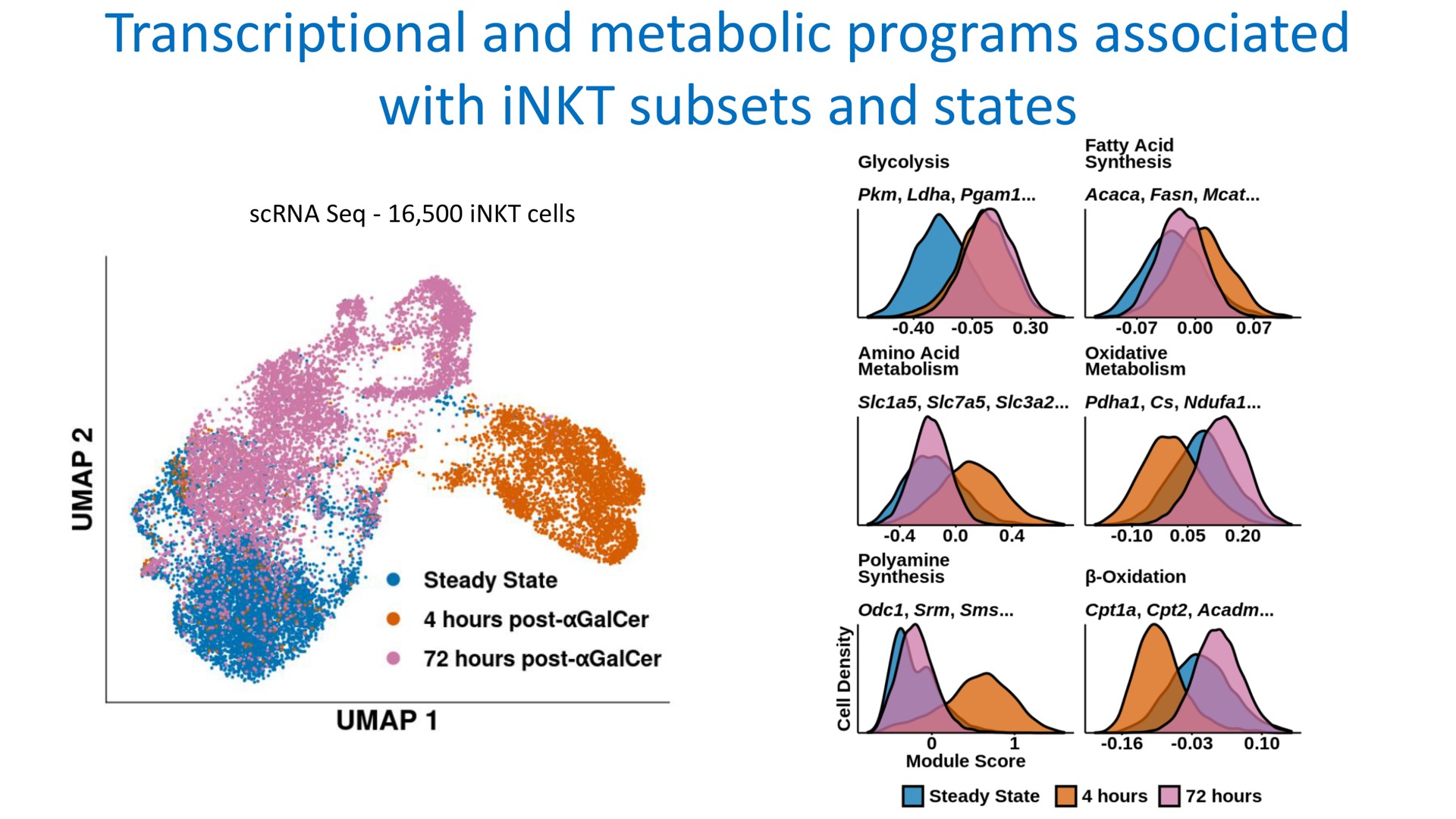 transcriptional and metabolic programs associated with subsets and states | Mink Therapeutics