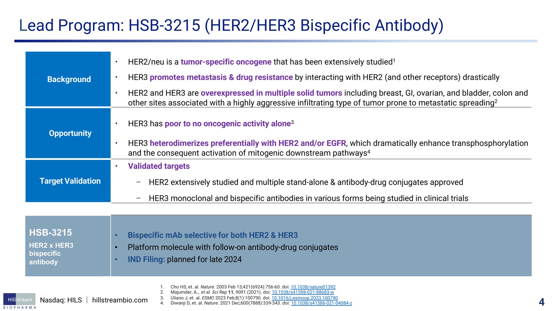 lead program her her antibody | Hillstream BioPharma