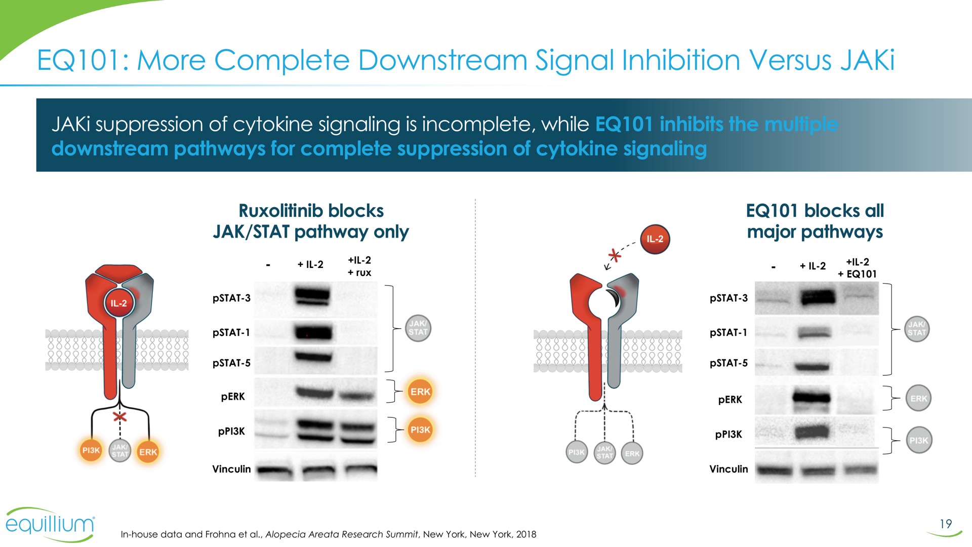 more complete downstream signal inhibition versus | Equillium