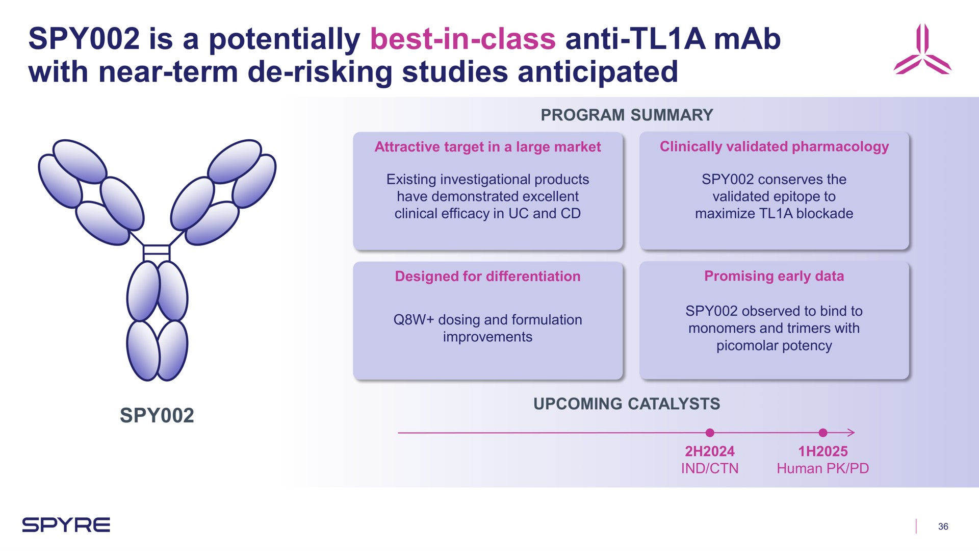 spy is a potentially best in class anti a with near term risking studies anticipated on | Aeglea BioTherapeutics