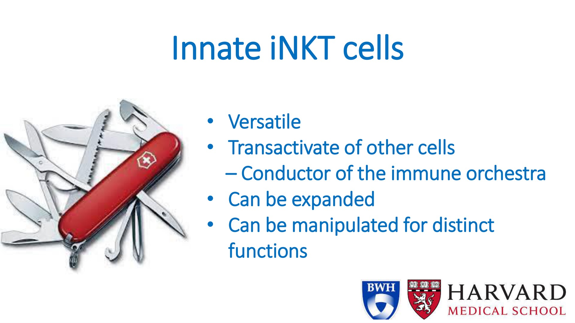 innate cells versatile of other cells conductor of the immune orchestra can be expanded can be manipulated for distinct functions | Mink Therapeutics