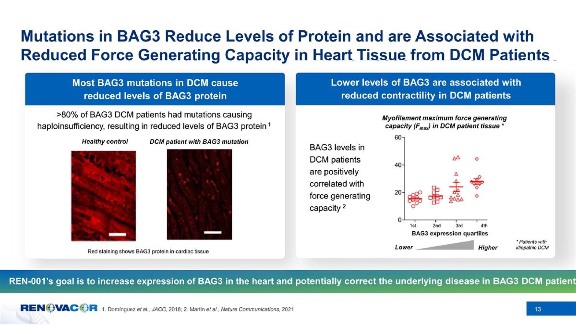 mutations in bag reduce levels of protein and are associated with reduced force generating capacity in heart tissue from patients | Renovacor