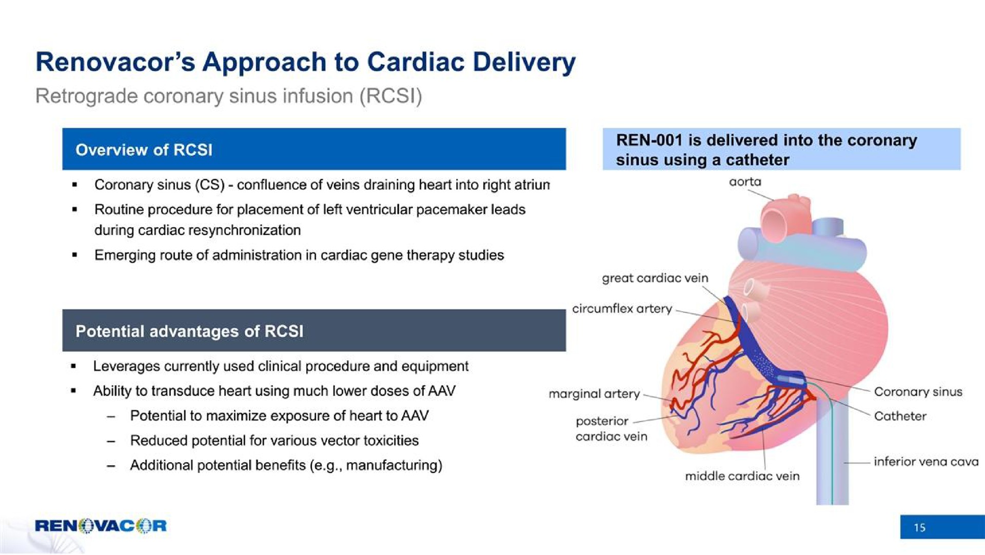 approach to cardiac delivery | Renovacor