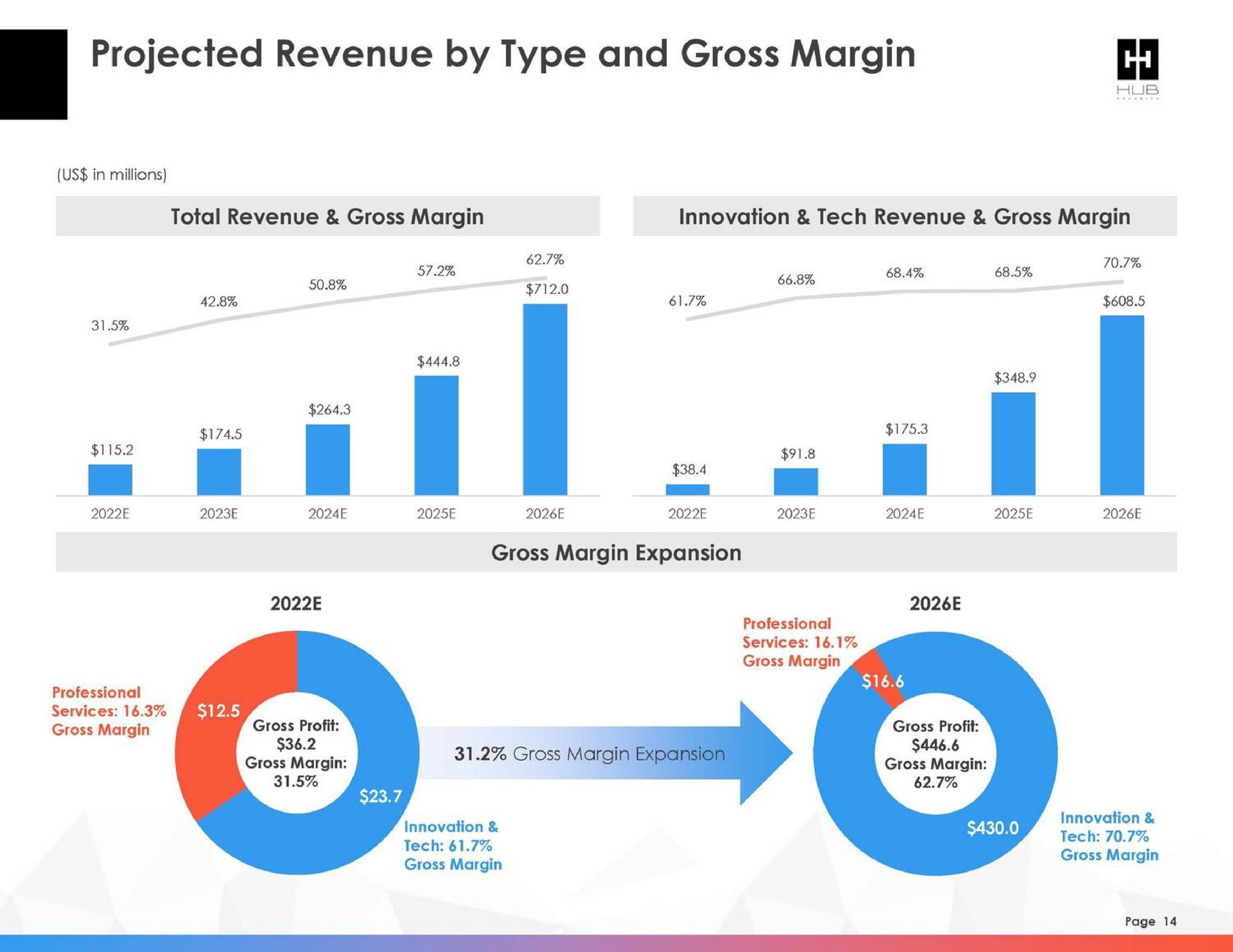 projected revenue by type and gross margin | HUB Security