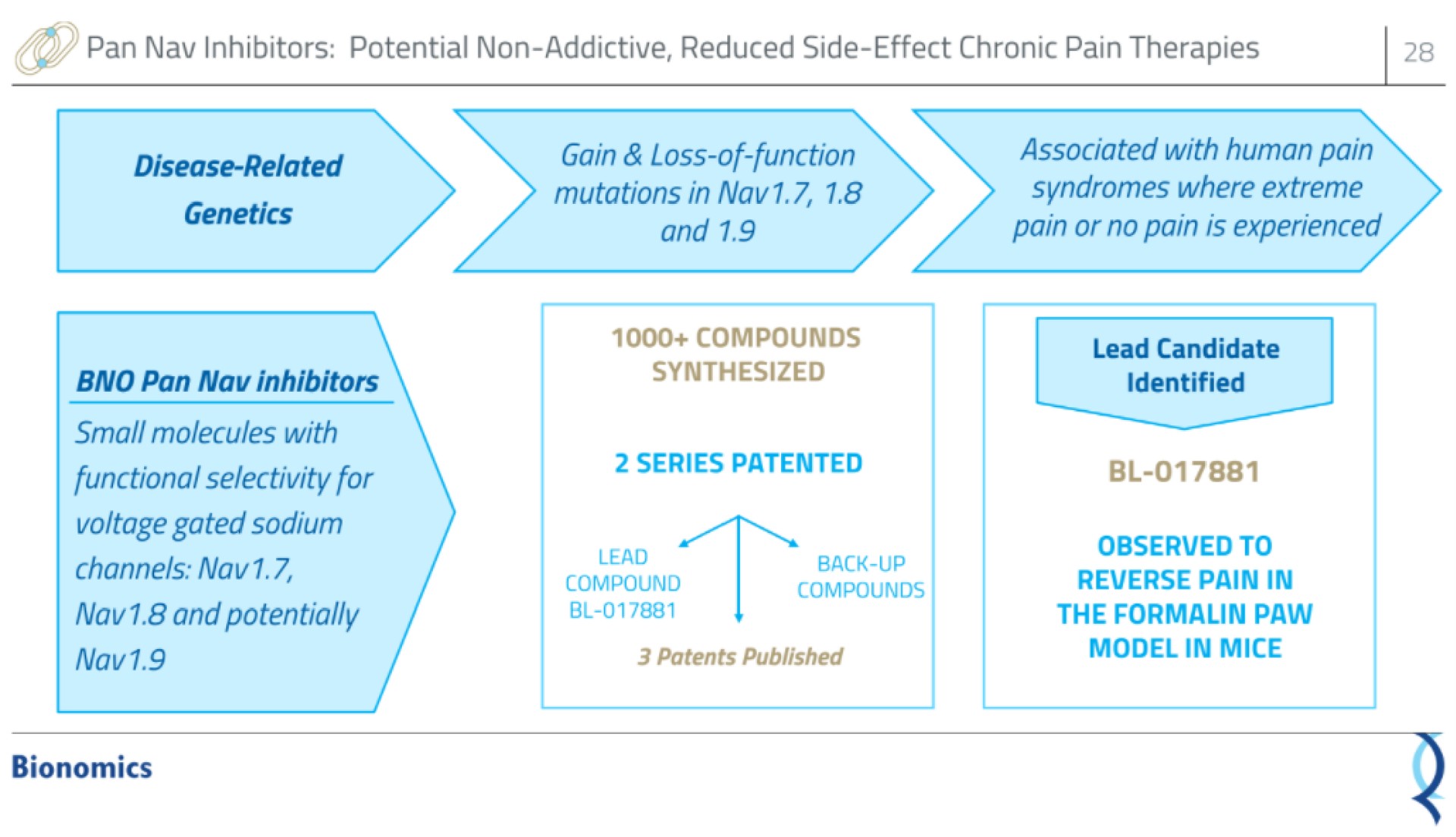 gain loss of function associated with human pain syndromes where extreme functional selectivity for voltage gated sodium channels and potentially mem compounds synthesized lead candidate identified compound ree observed to reverse pain in the paw | Bionomics